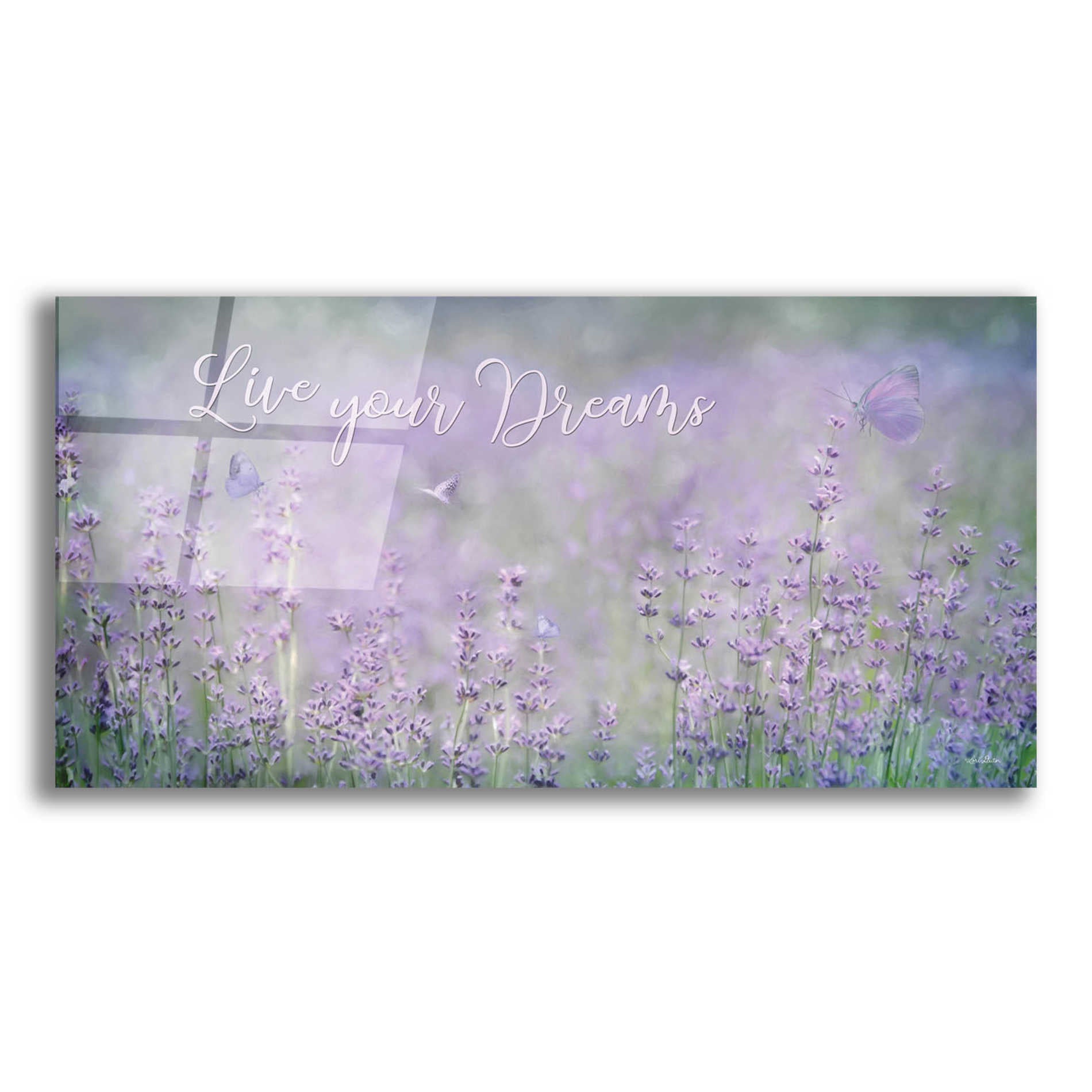 Epic Art 'Live Your Dreams' by Lori Deiter Acrylic Glass Wall Art,24x12