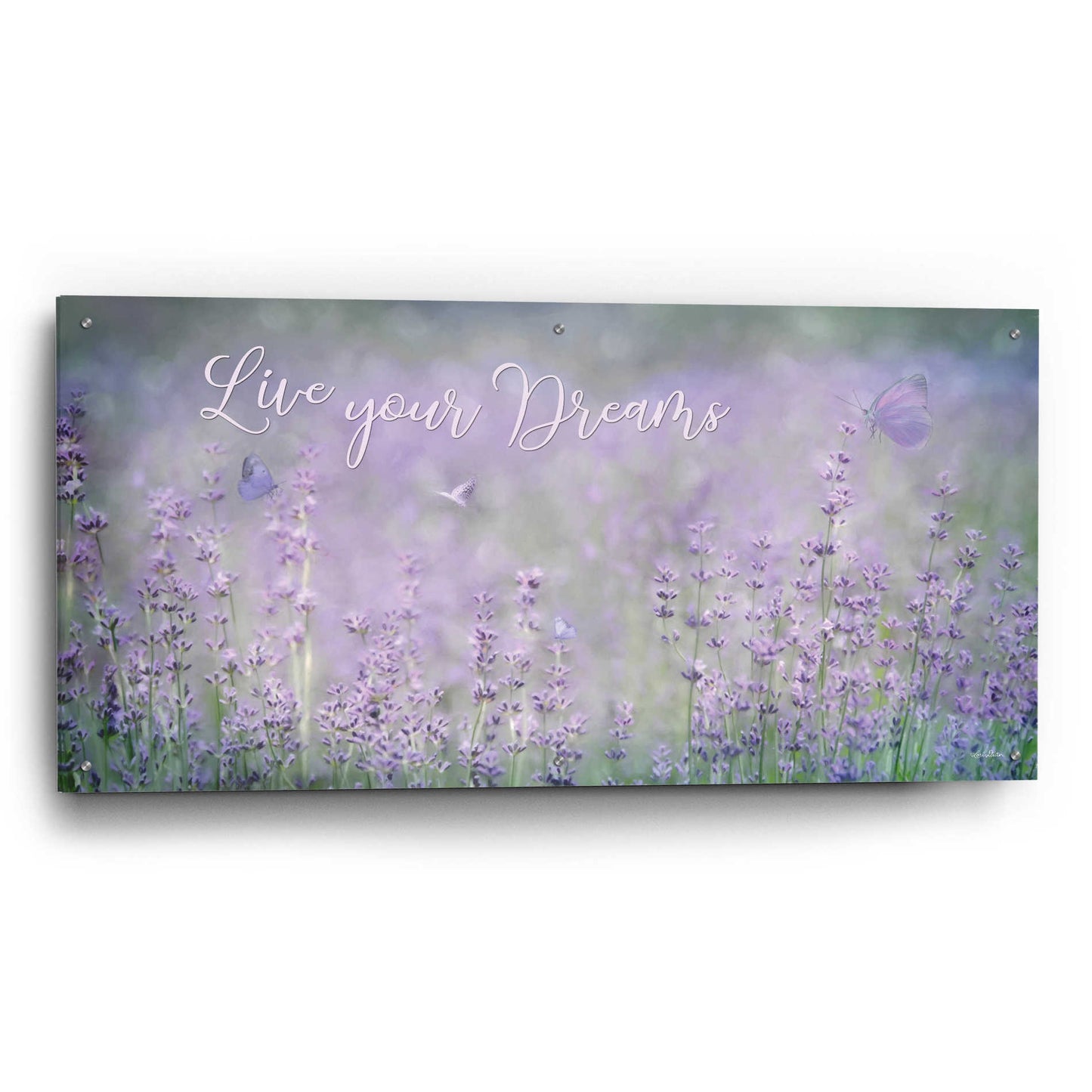 Epic Art 'Live Your Dreams' by Lori Deiter Acrylic Glass Wall Art,48x24