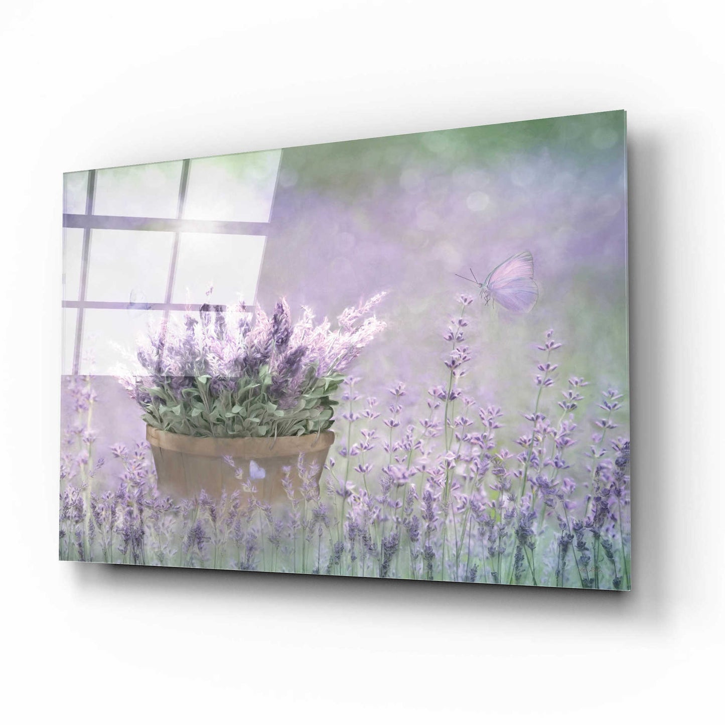 Epic Art 'Lavender Basket' by Lori Deiter Acrylic Glass Wall Art,16x12