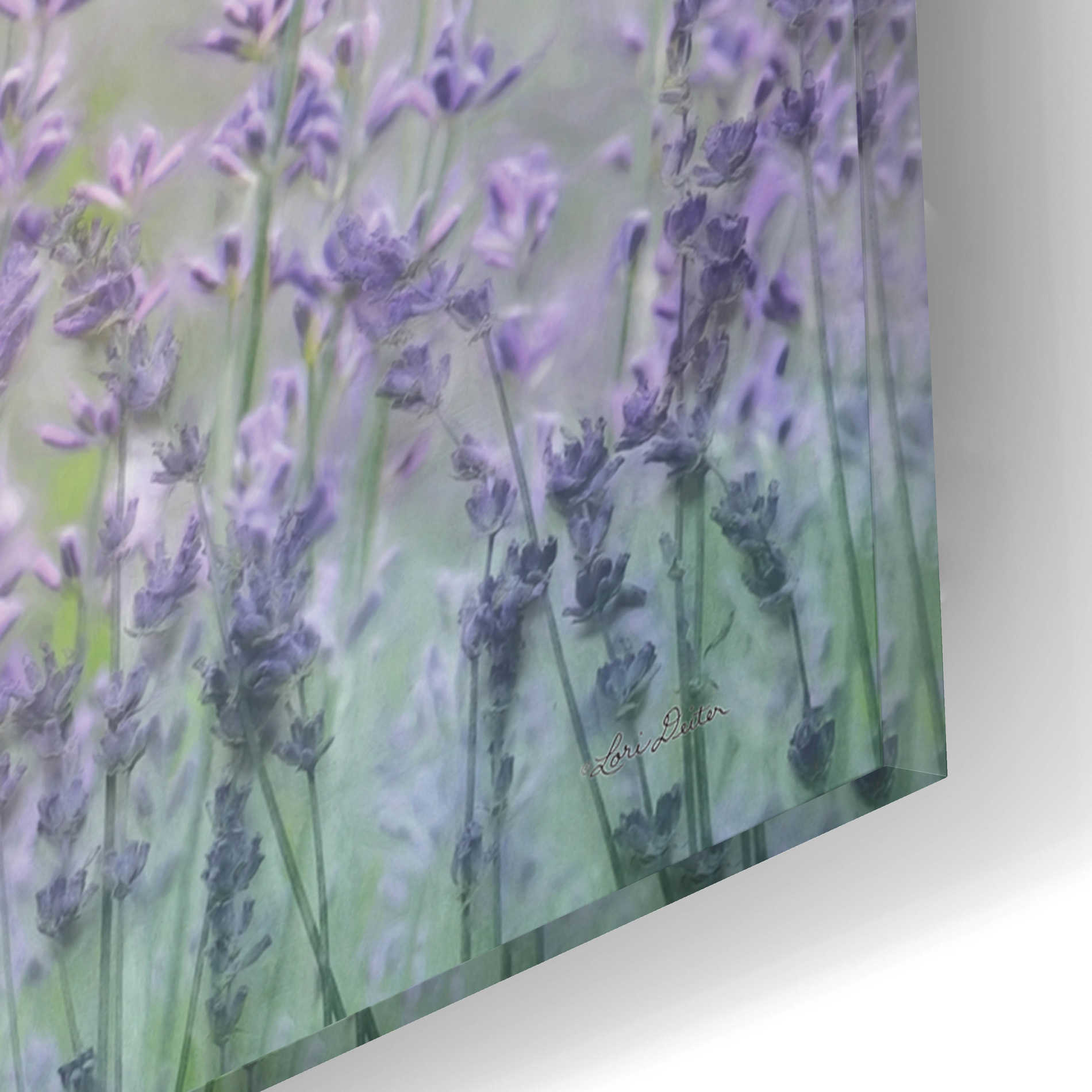 Epic Art 'Lavender Basket' by Lori Deiter Acrylic Glass Wall Art,16x12