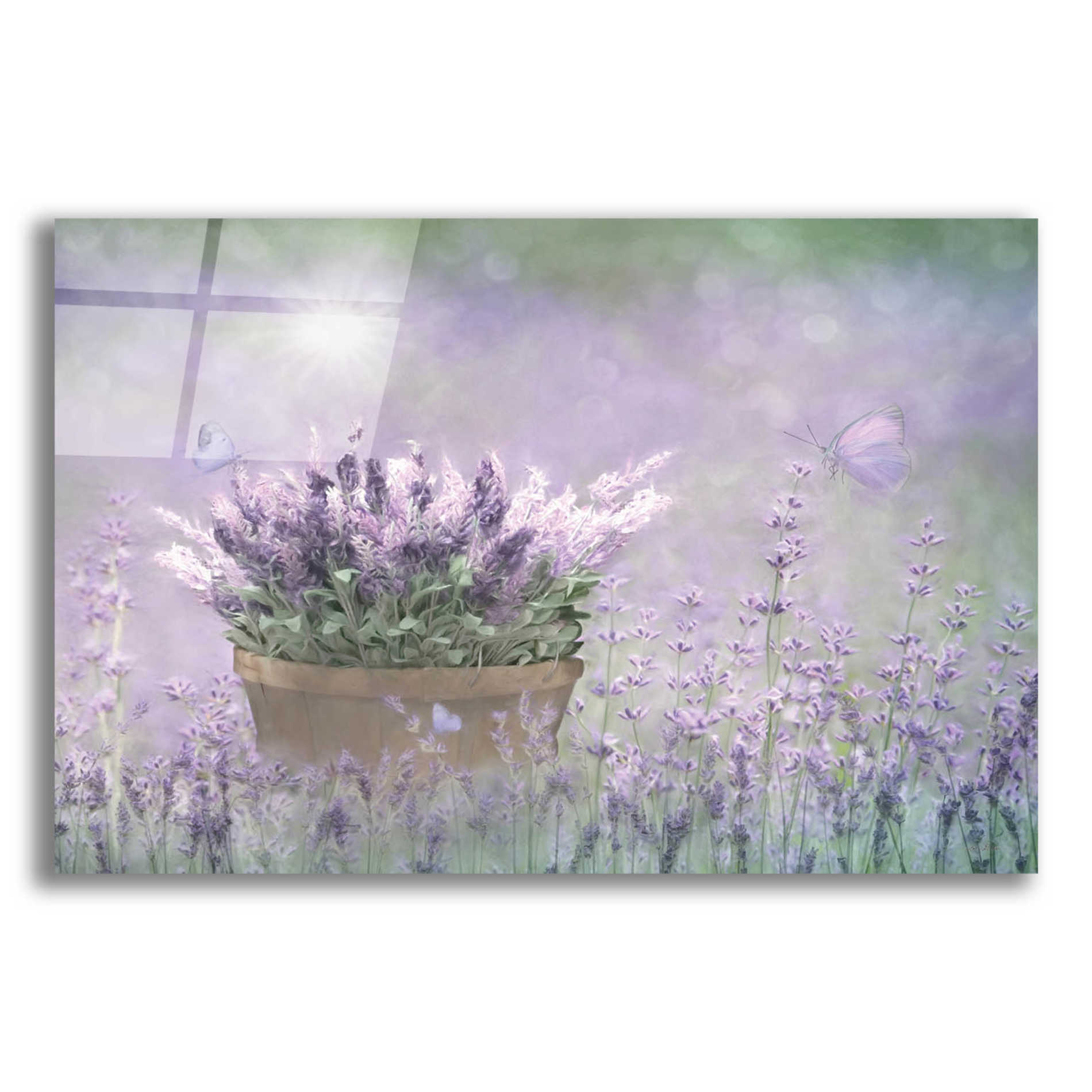 Epic Art 'Lavender Basket' by Lori Deiter Acrylic Glass Wall Art,16x12