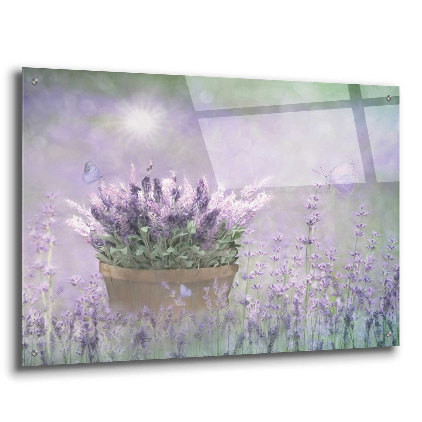 Epic Art 'Lavender Basket' by Lori Deiter Acrylic Glass Wall Art,36x24