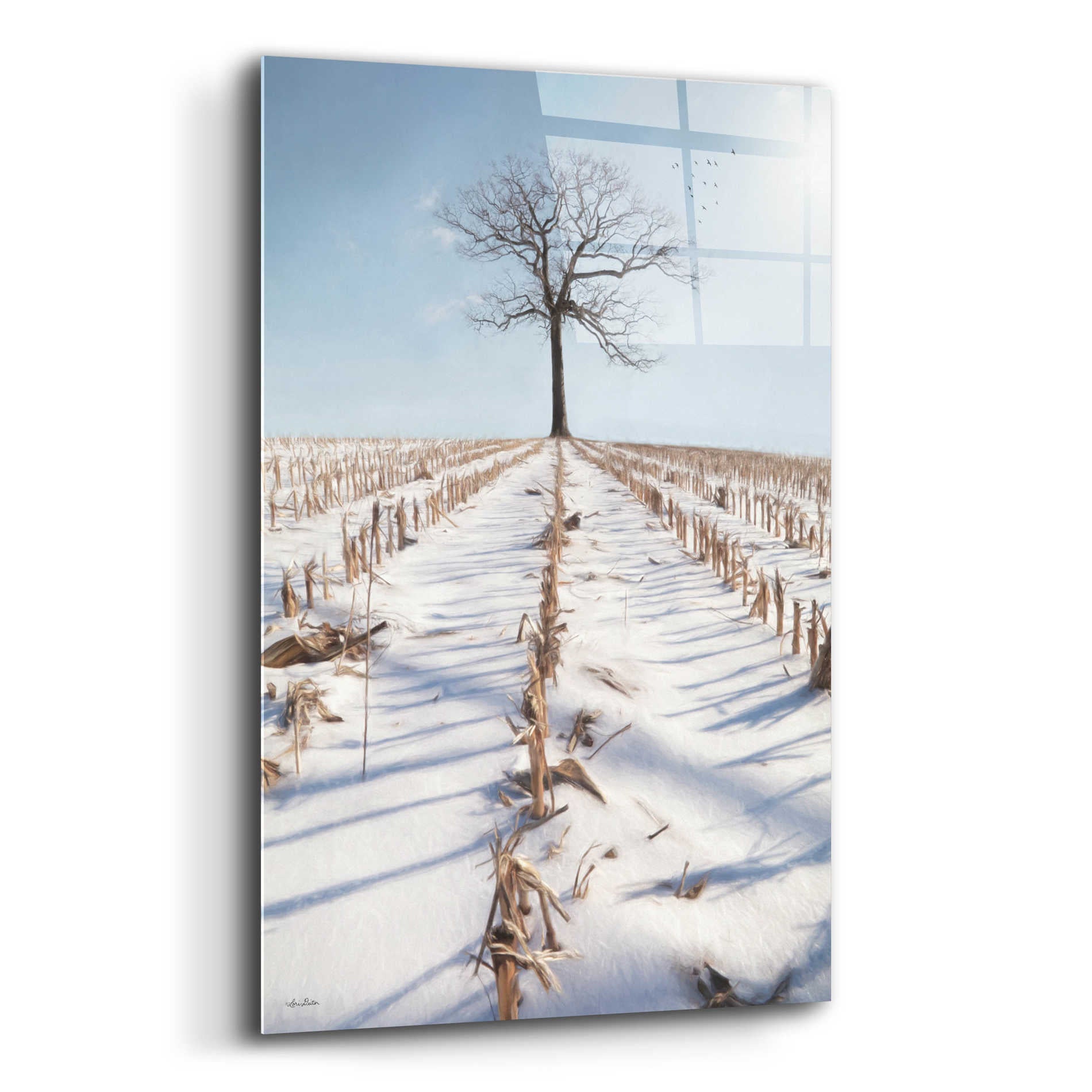 Epic Art 'Winter Boughs' by Lori Deiter Acrylic Glass Wall Art,12x16