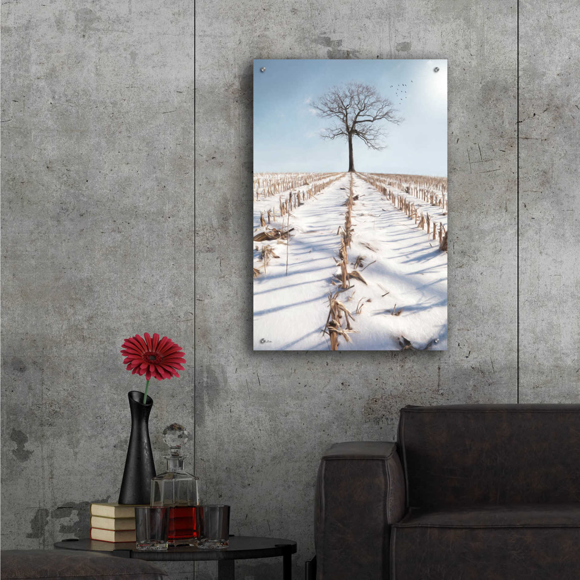 Epic Art 'Winter Boughs' by Lori Deiter Acrylic Glass Wall Art,24x36