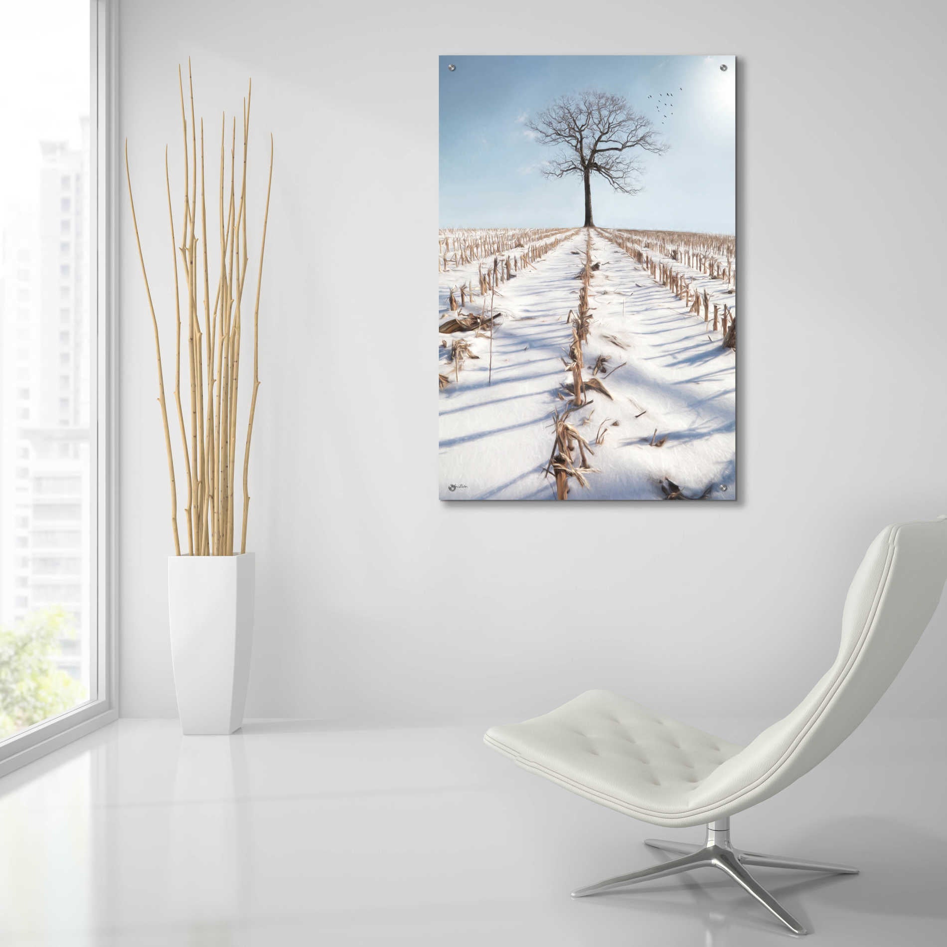 Epic Art 'Winter Boughs' by Lori Deiter Acrylic Glass Wall Art,24x36