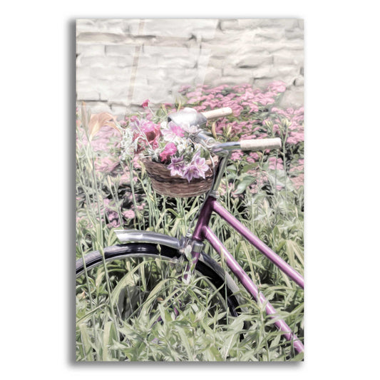 Epic Art 'Blooming Beauty' by Lori Deiter Acrylic Glass Wall Art