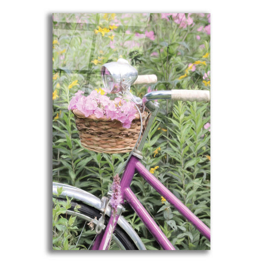 Epic Art 'Pink Garden Bike' by Lori Deiter Acrylic Glass Wall Art