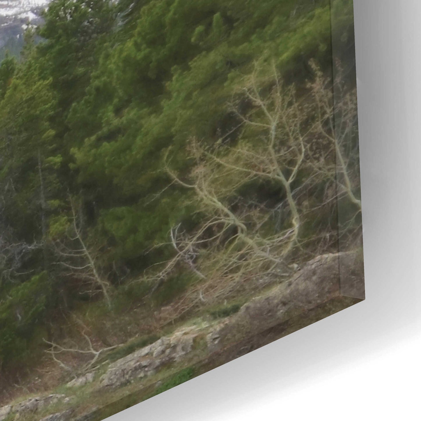 Epic Art 'Many Glacier Landscape' by Lori Deiter Acrylic Glass Wall Art,24x12