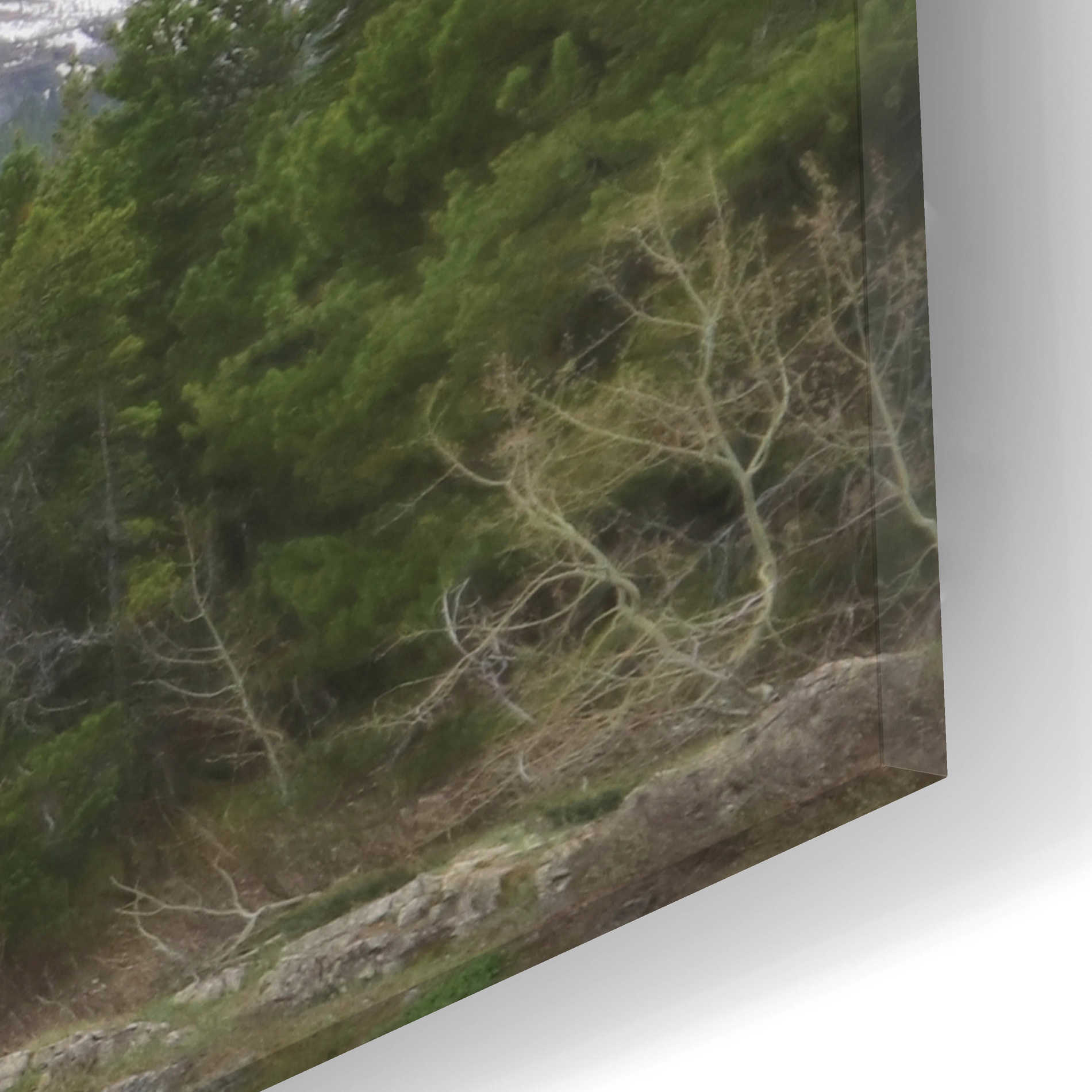 Epic Art 'Many Glacier Landscape' by Lori Deiter Acrylic Glass Wall Art,24x12
