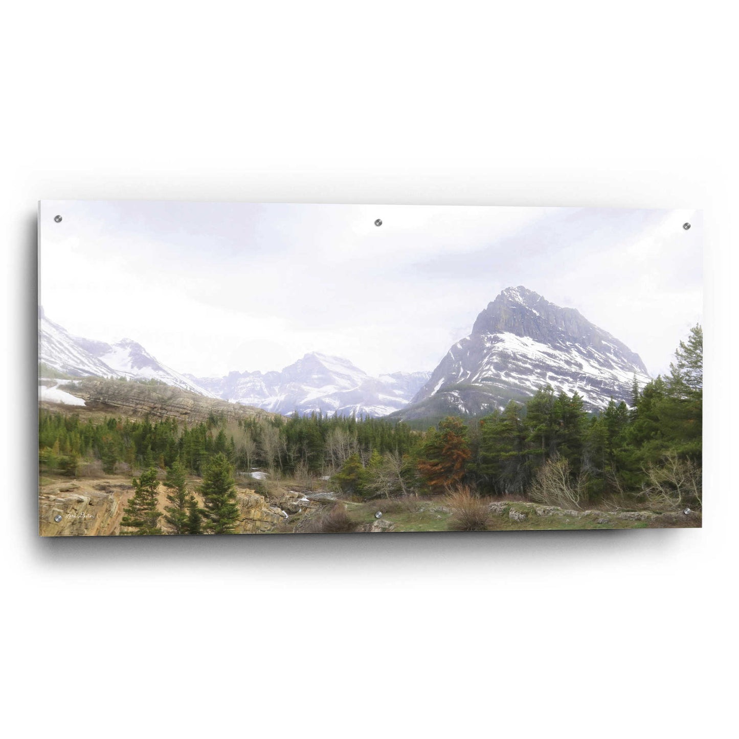 Epic Art 'Many Glacier Landscape' by Lori Deiter Acrylic Glass Wall Art,48x24