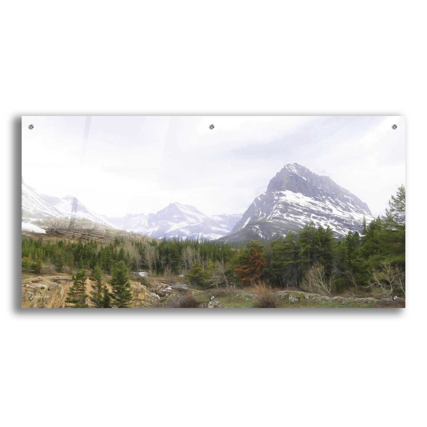 Epic Art 'Many Glacier Landscape' by Lori Deiter Acrylic Glass Wall Art,48x24