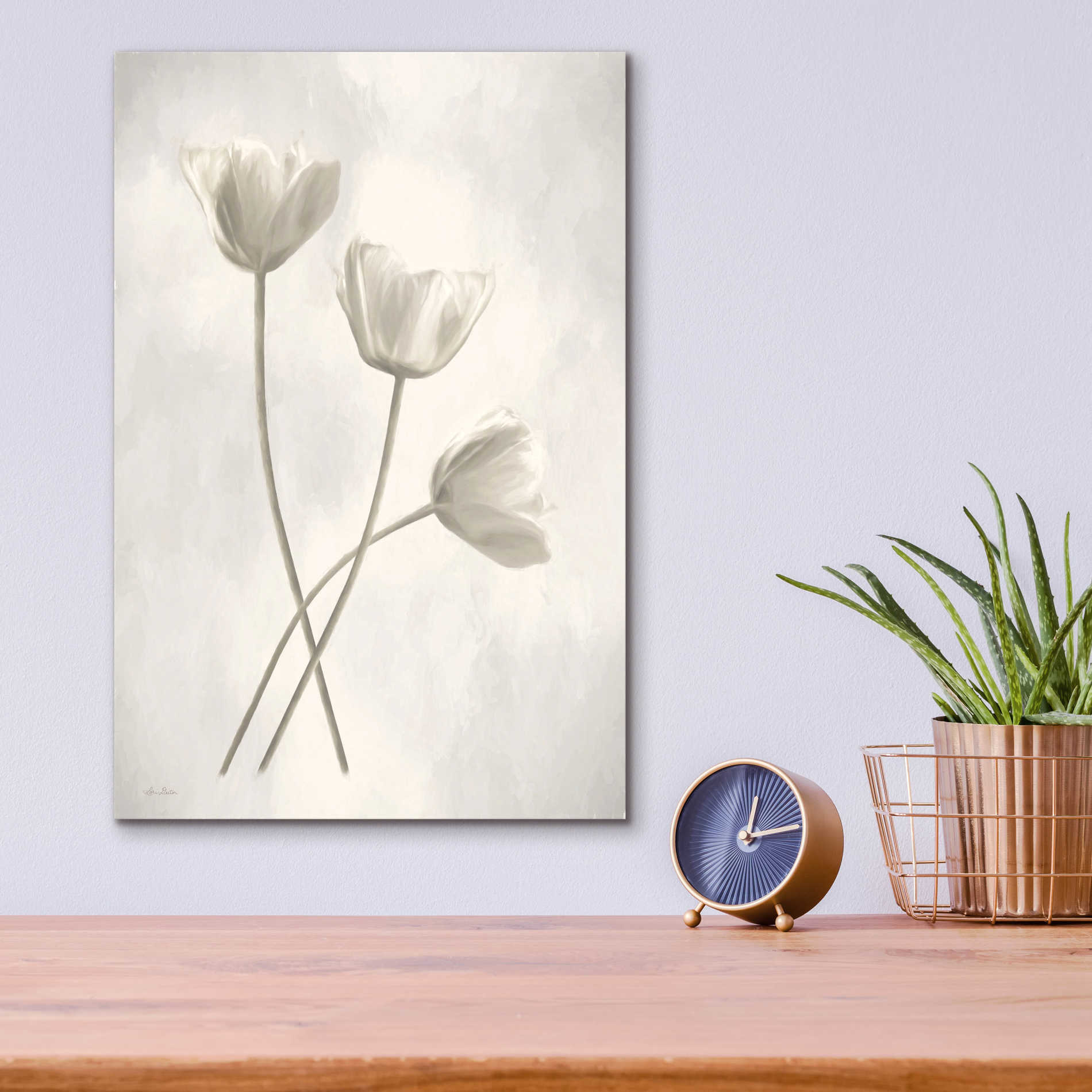 Epic Art 'Bleached Tulips III' by Lori Deiter Acrylic Glass Wall Art,12x16