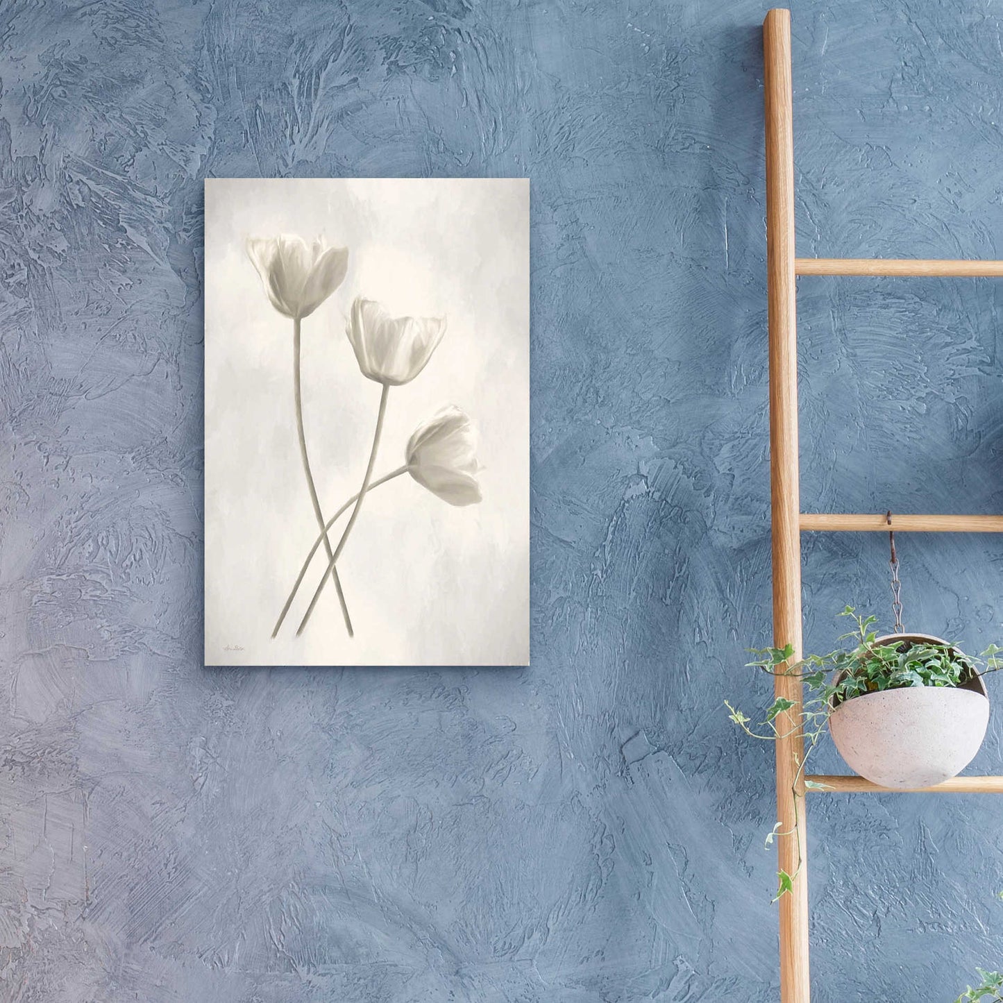 Epic Art 'Bleached Tulips III' by Lori Deiter Acrylic Glass Wall Art,16x24