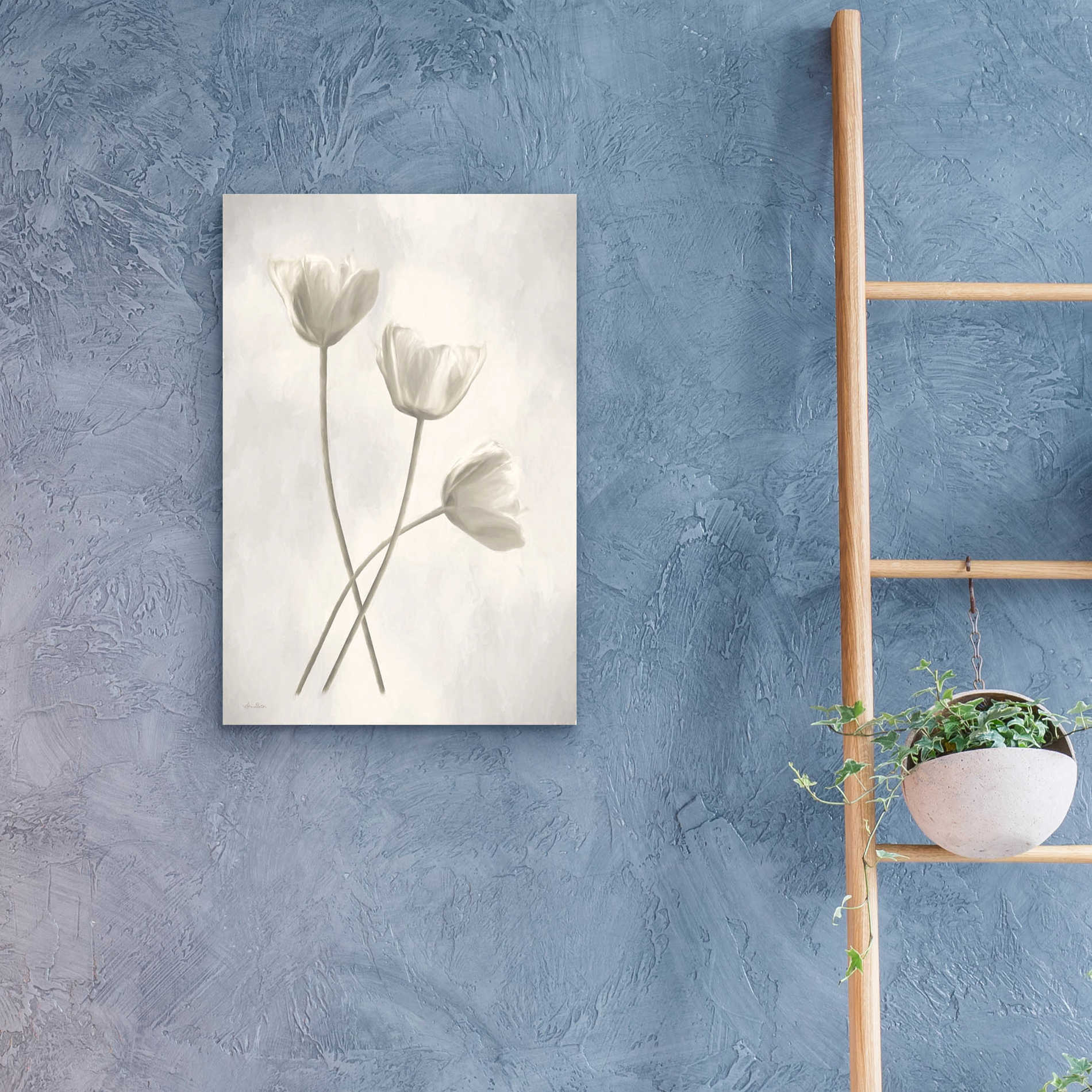 Epic Art 'Bleached Tulips III' by Lori Deiter Acrylic Glass Wall Art,16x24