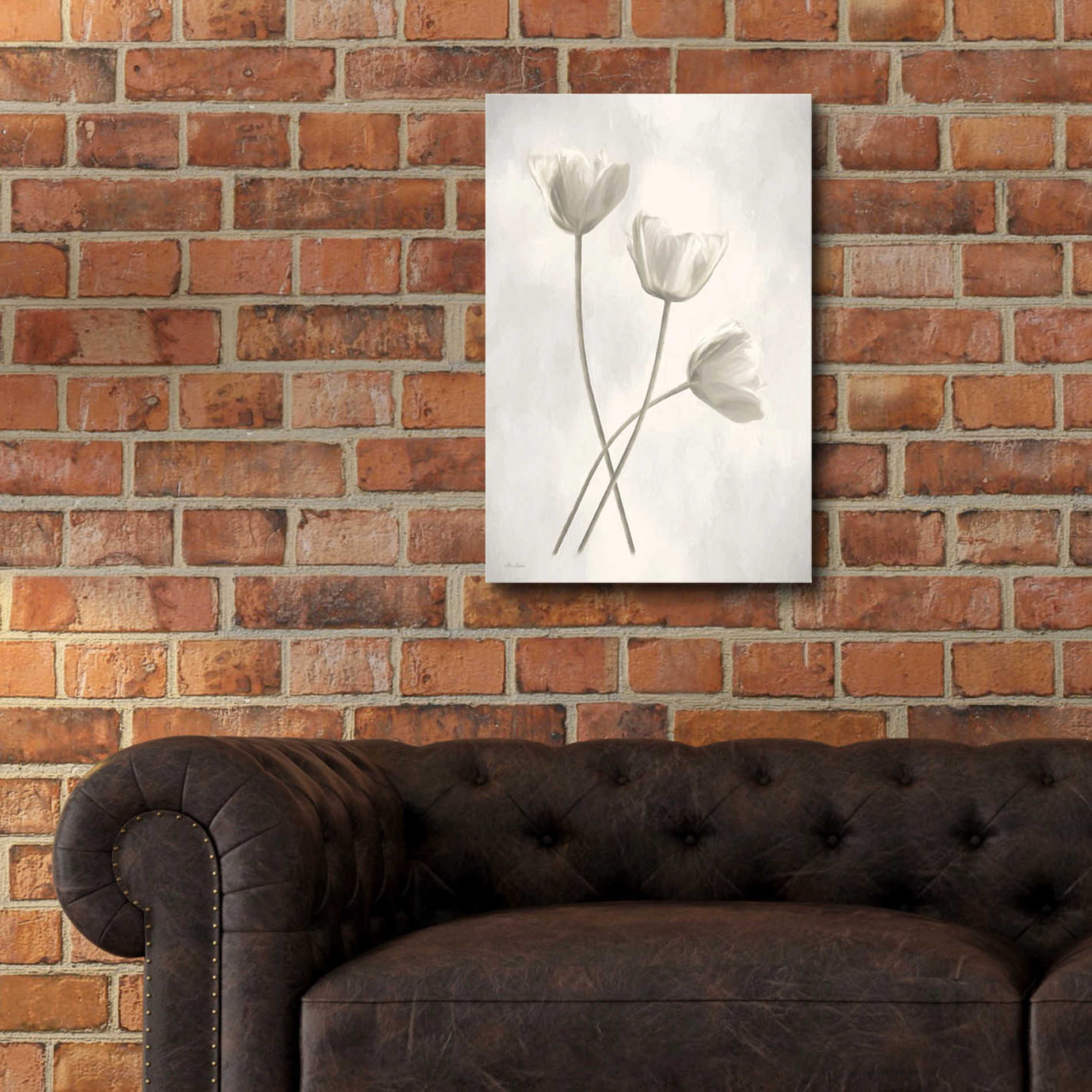 Epic Art 'Bleached Tulips III' by Lori Deiter Acrylic Glass Wall Art,16x24