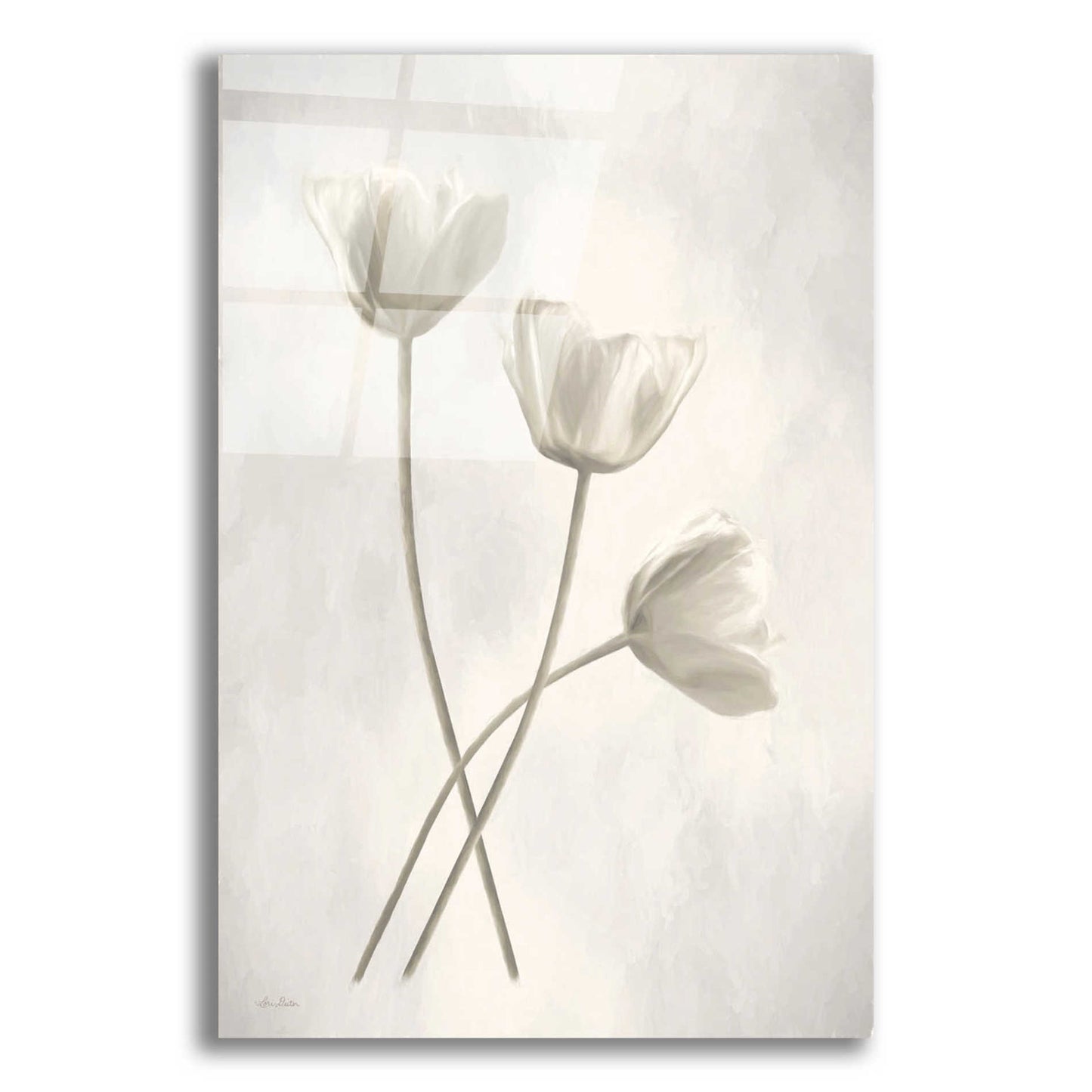 Epic Art 'Bleached Tulips III' by Lori Deiter Acrylic Glass Wall Art