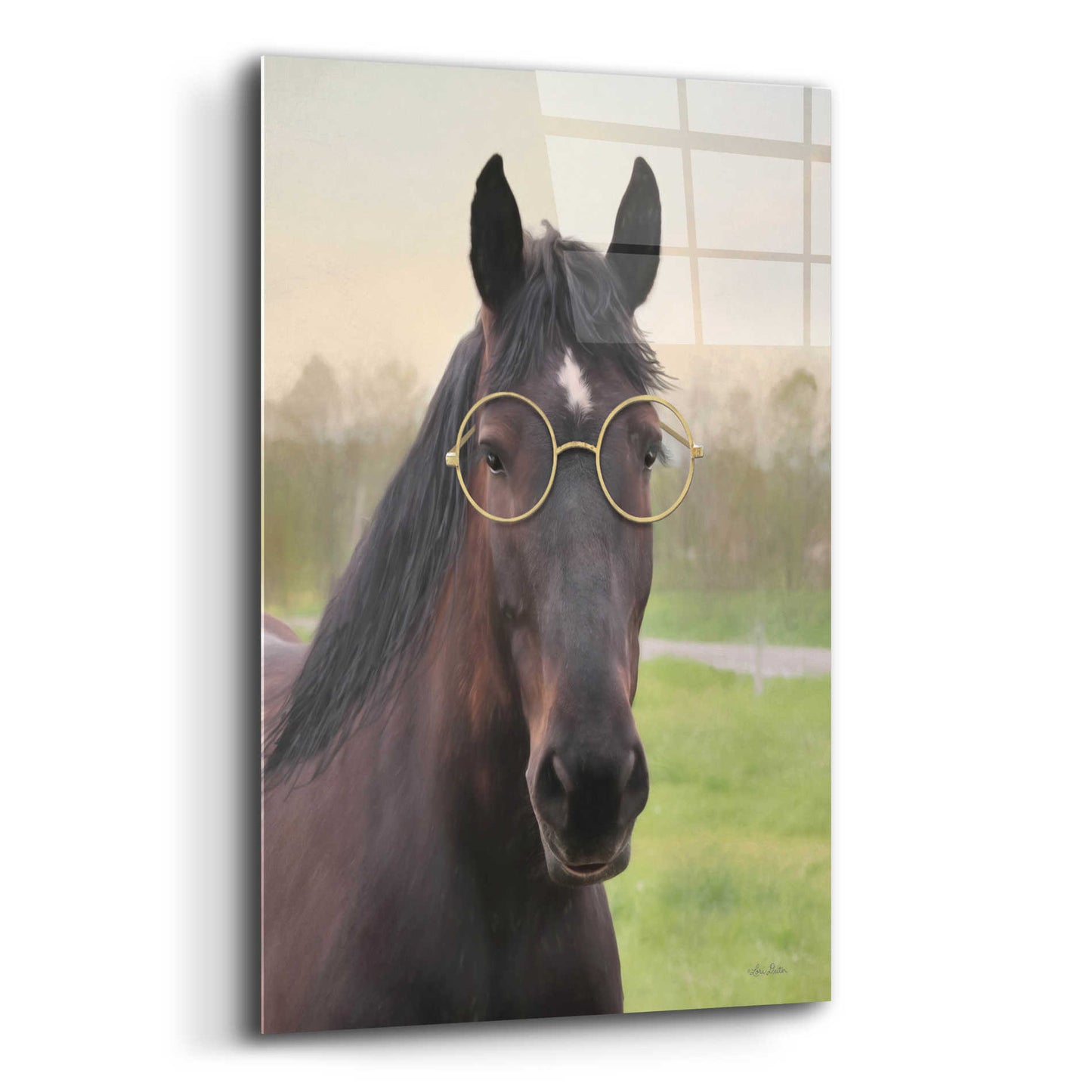 Epic Art 'Horse with Round Glasses' by Lori Deiter Acrylic Glass Wall Art,12x16