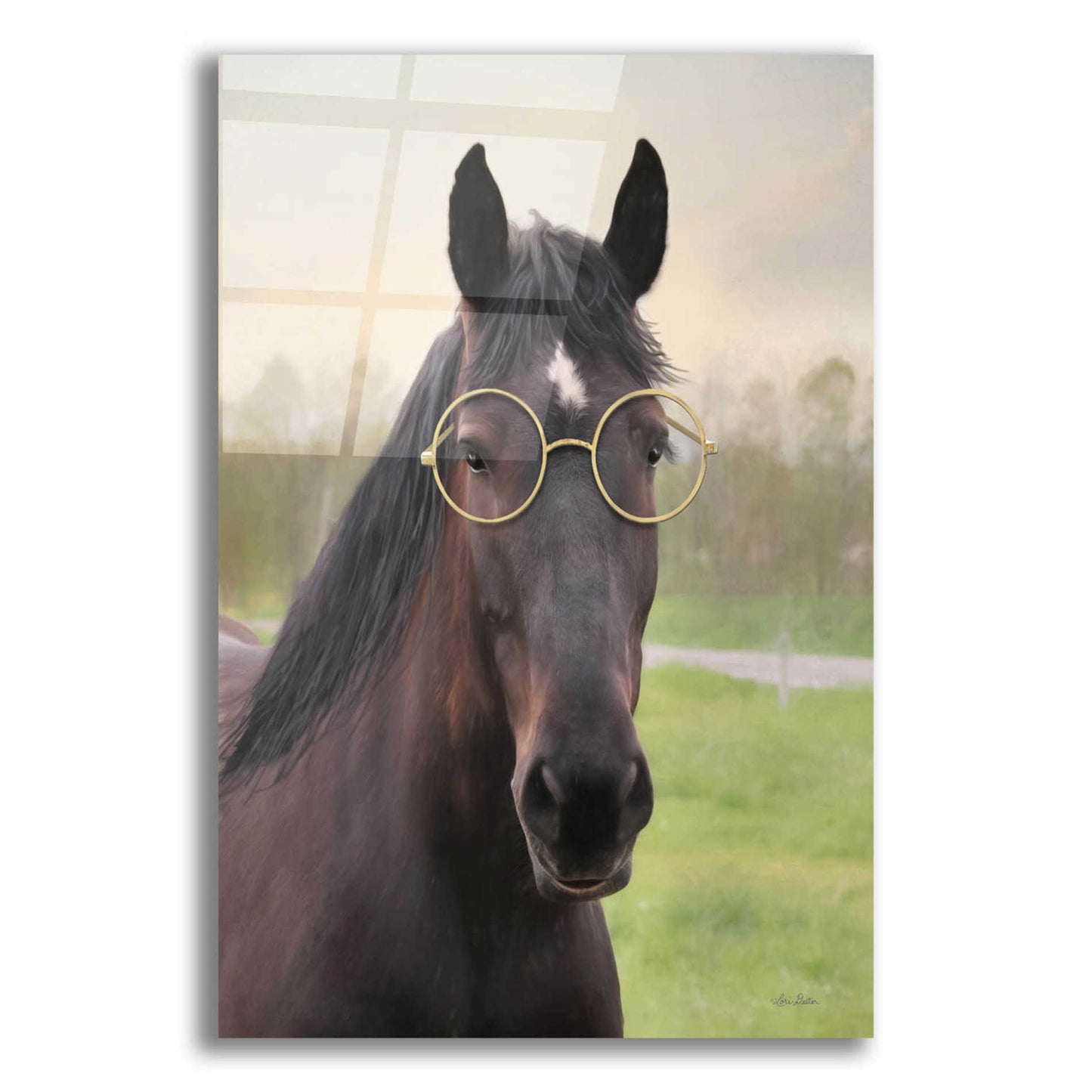 Epic Art 'Horse with Round Glasses' by Lori Deiter Acrylic Glass Wall Art,12x16