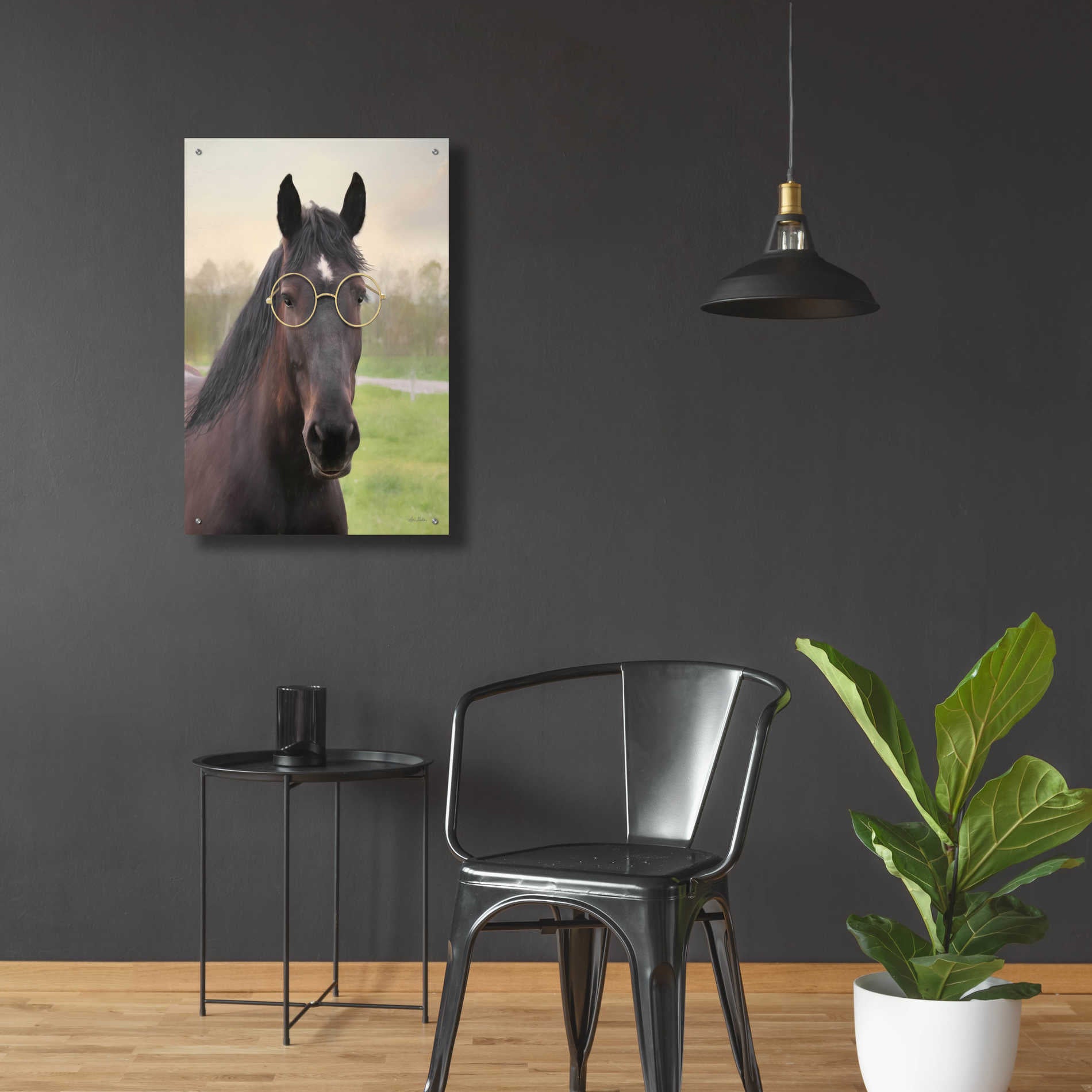 Epic Art 'Horse with Round Glasses' by Lori Deiter Acrylic Glass Wall Art,24x36