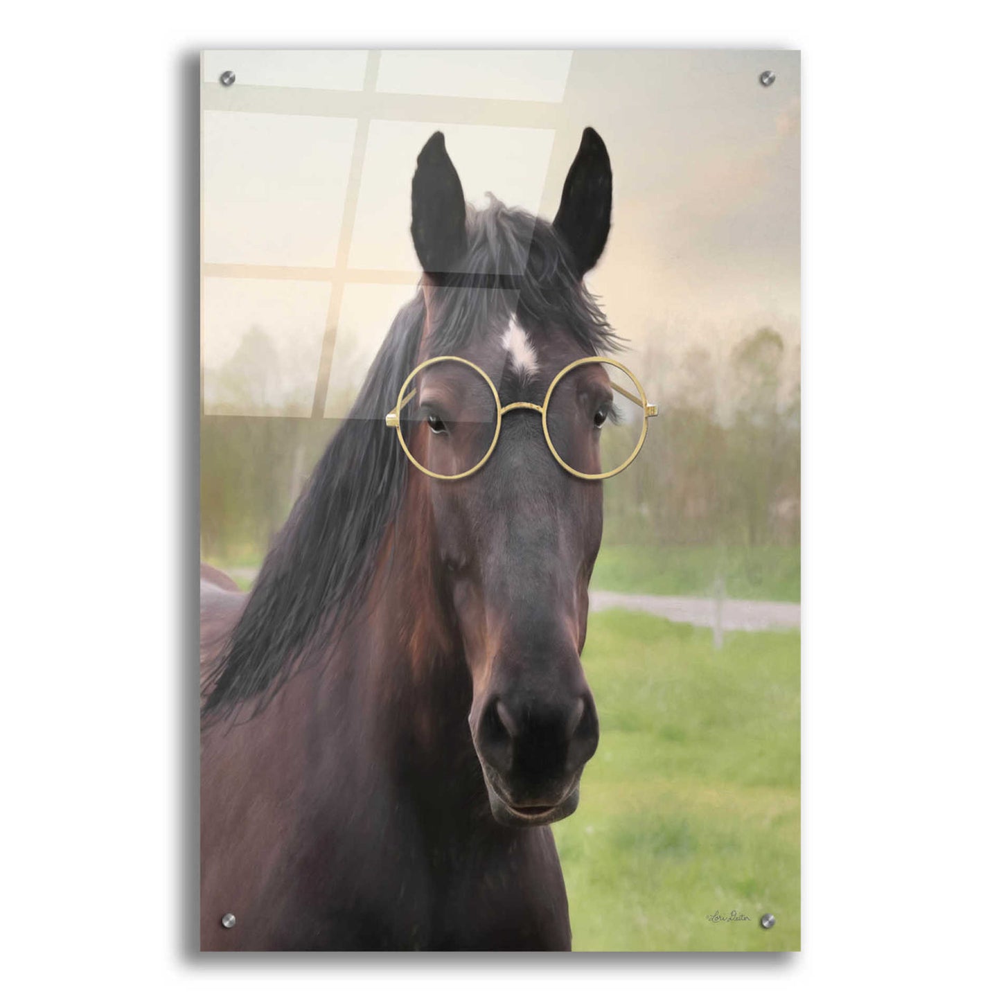 Epic Art 'Horse with Round Glasses' by Lori Deiter Acrylic Glass Wall Art,24x36