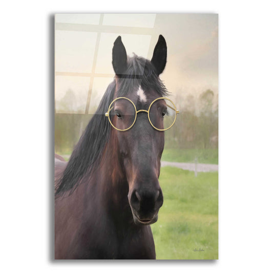 Epic Art 'Horse with Round Glasses' by Lori Deiter Acrylic Glass Wall Art