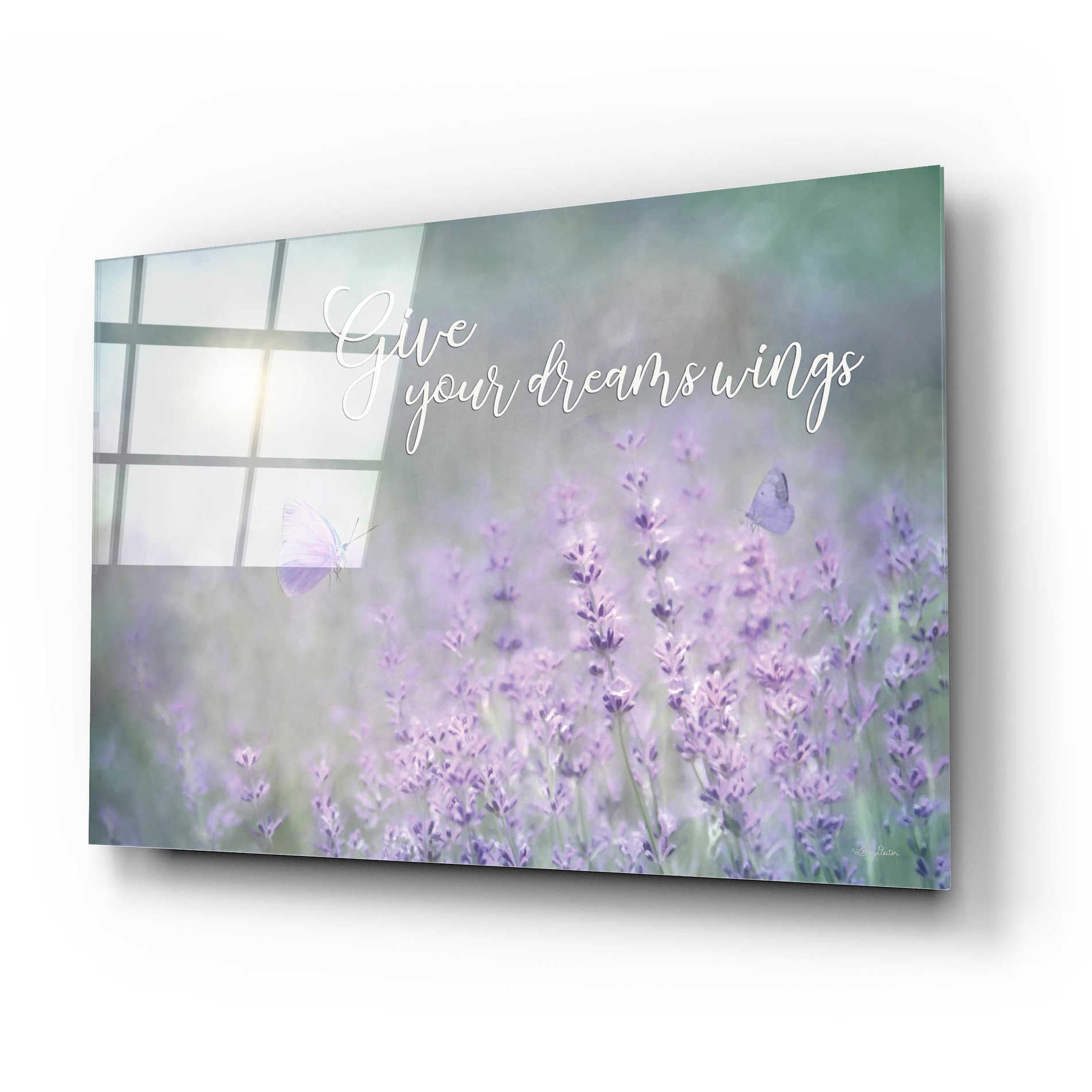 Epic Art 'Give Your Dreams Wings' by Lori Deiter Acrylic Glass Wall Art,24x16