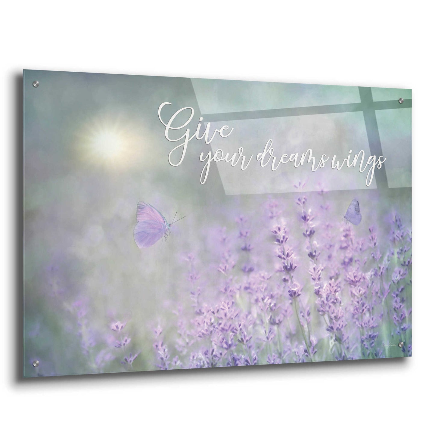 Epic Art 'Give Your Dreams Wings' by Lori Deiter Acrylic Glass Wall Art,36x24