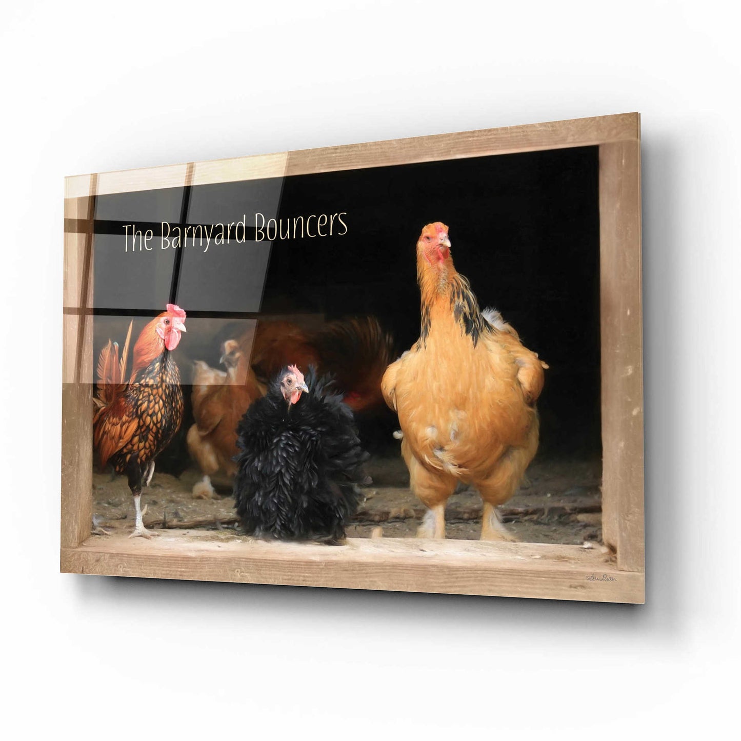 Epic Art 'Barnyard Bouncers' by Lori Deiter Acrylic Glass Wall Art,16x12