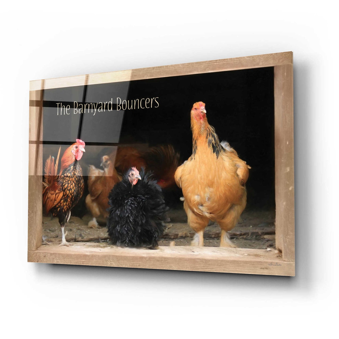 Epic Art 'Barnyard Bouncers' by Lori Deiter Acrylic Glass Wall Art,24x16