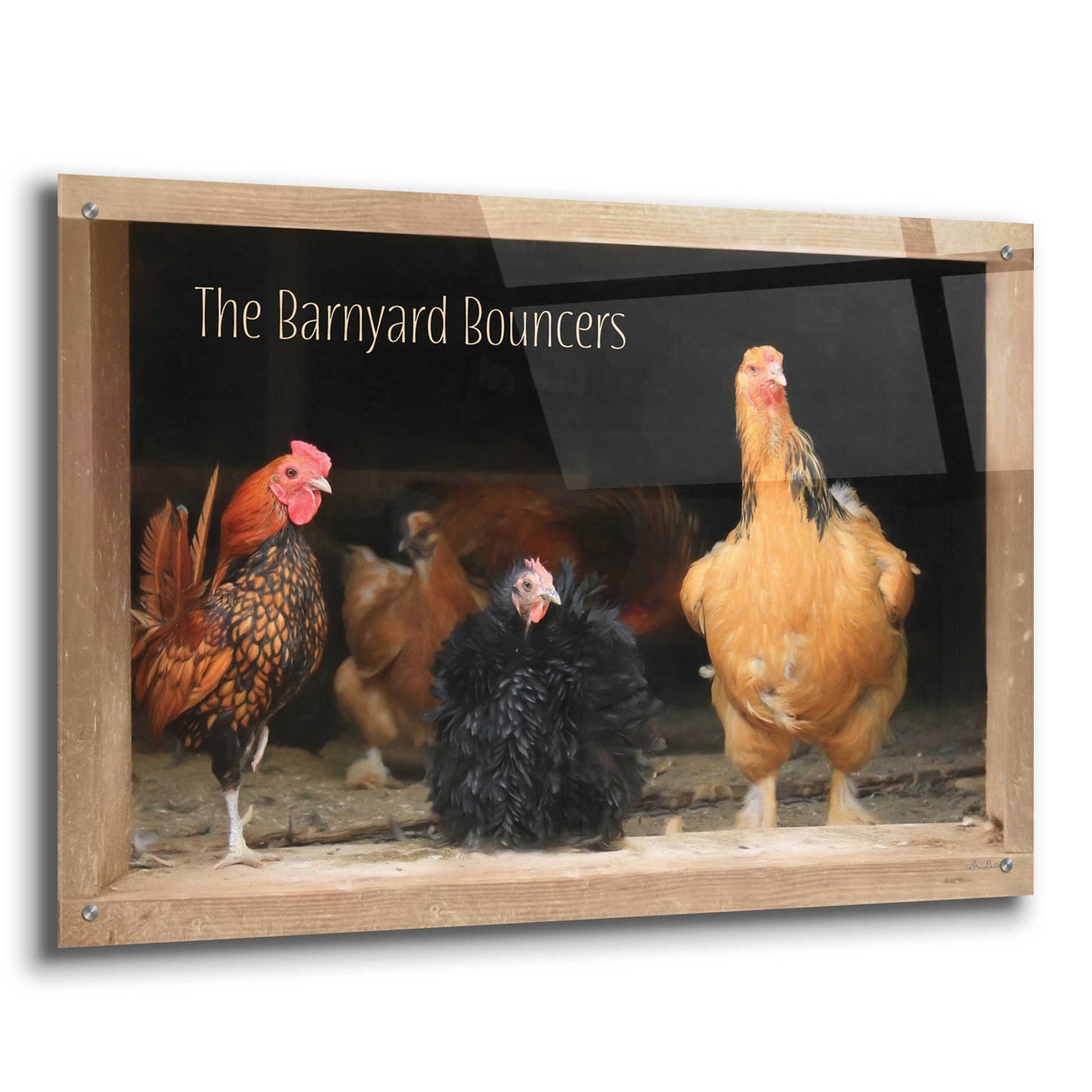 Epic Art 'Barnyard Bouncers' by Lori Deiter Acrylic Glass Wall Art,36x24