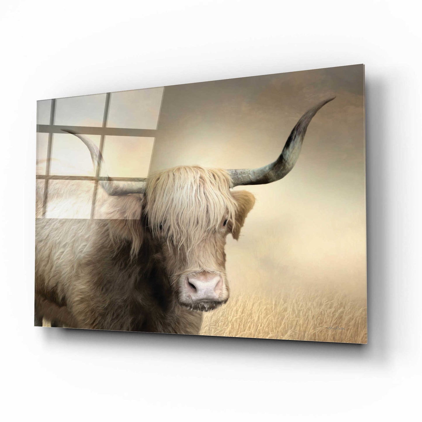 Epic Art 'Highland Cow in Golden Grass' by Lori Deiter Acrylic Glass Wall Art,16x12