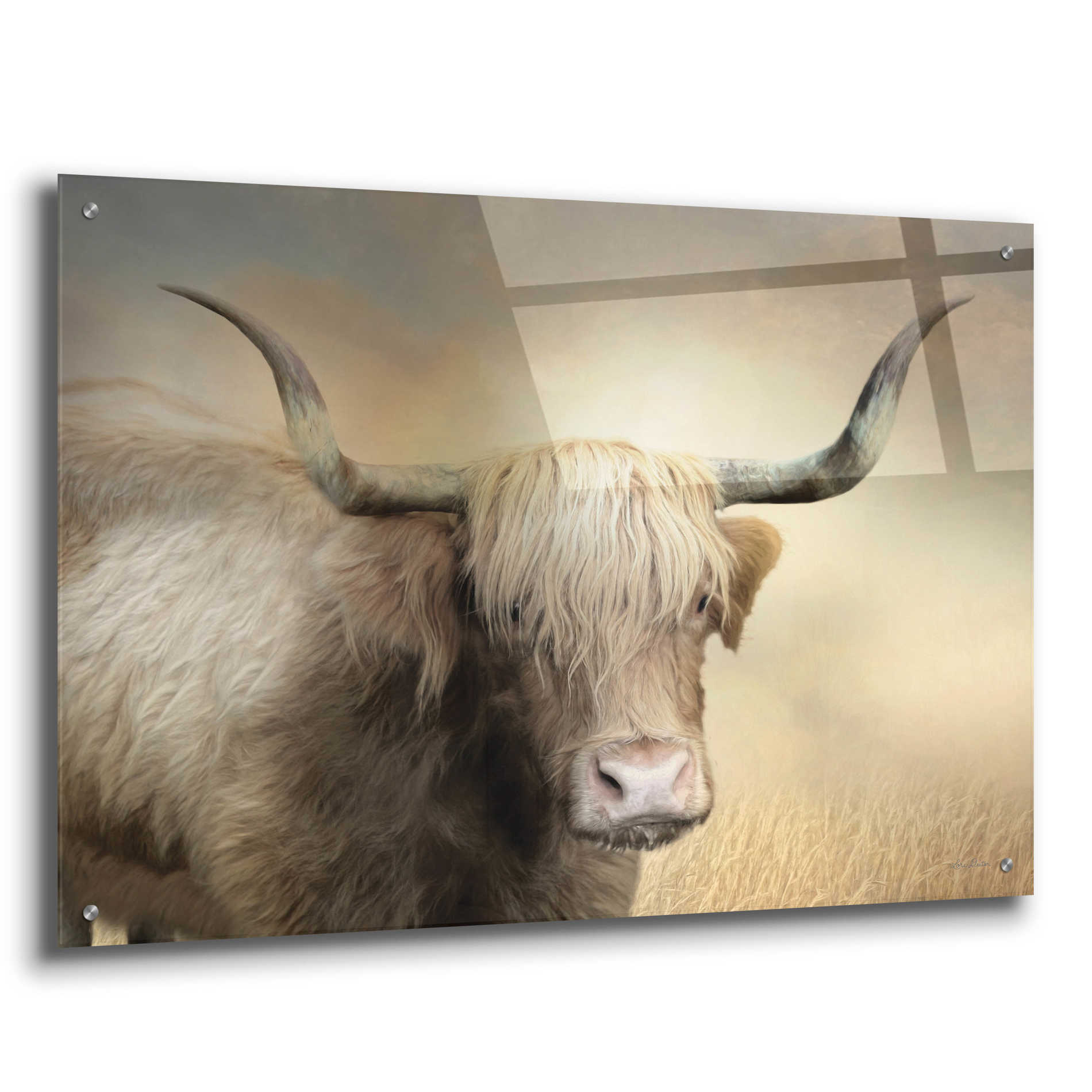 Epic Art 'Highland Cow in Golden Grass' by Lori Deiter Acrylic Glass Wall Art,36x24