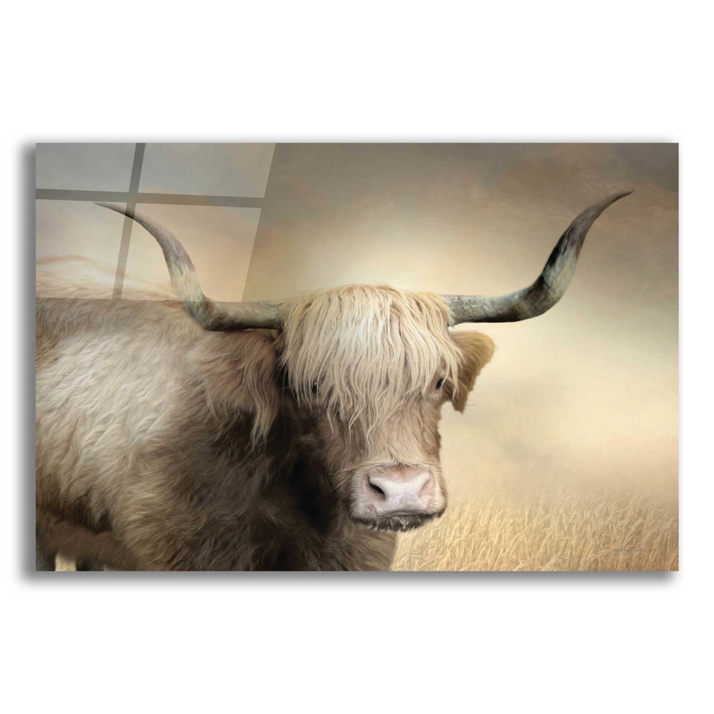 Epic Art 'Highland Cow in Golden Grass' by Lori Deiter Acrylic Glass Wall Art