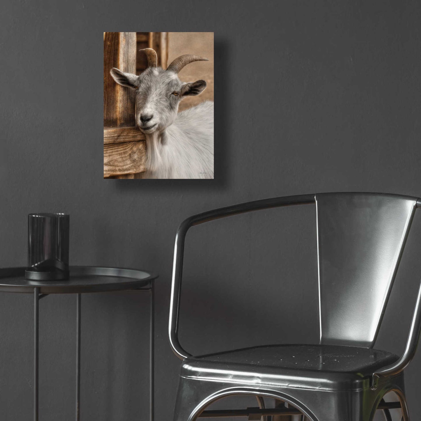 Epic Art 'Gray Goat' by Lori Deiter Acrylic Glass Wall Art,12x16