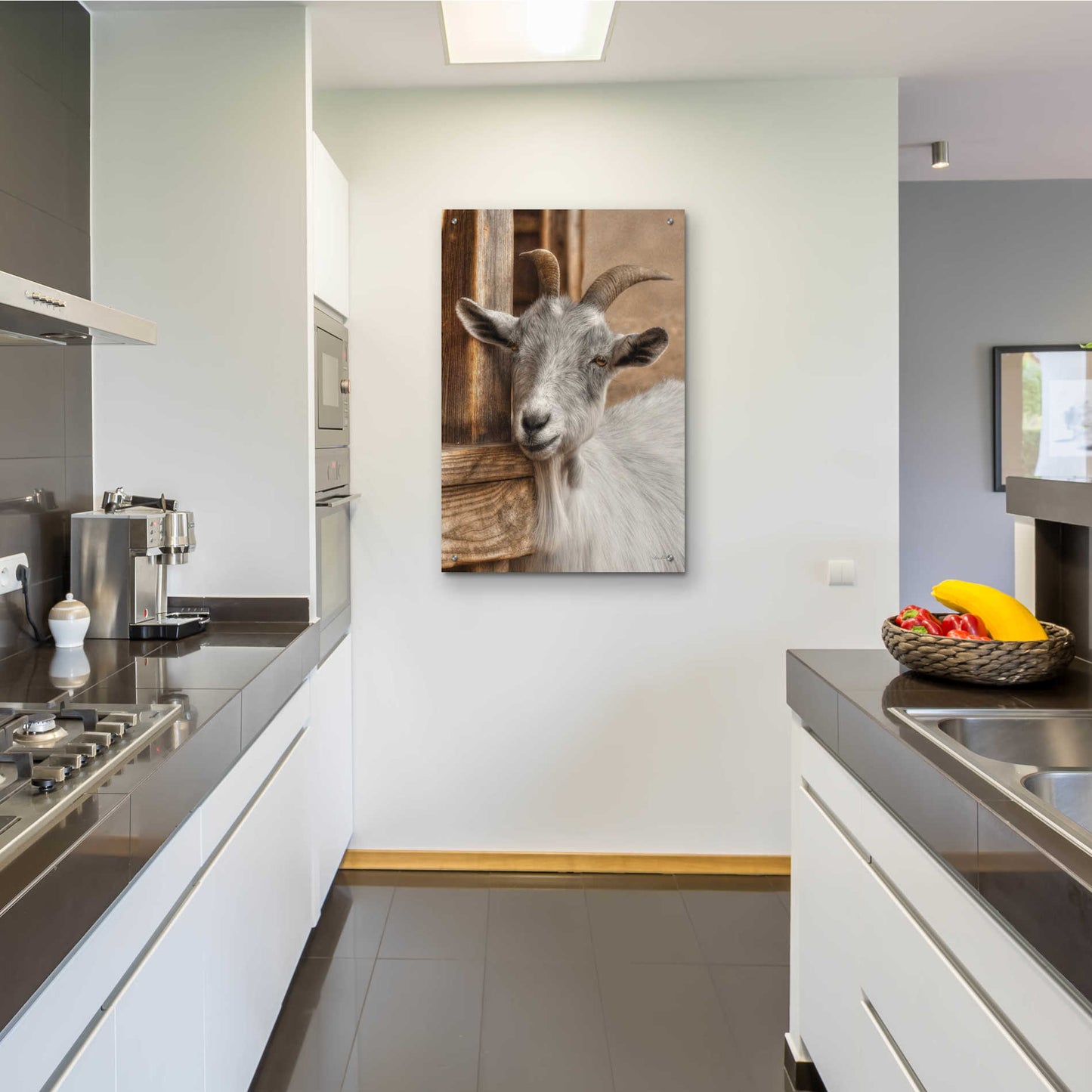 Epic Art 'Gray Goat' by Lori Deiter Acrylic Glass Wall Art,24x36