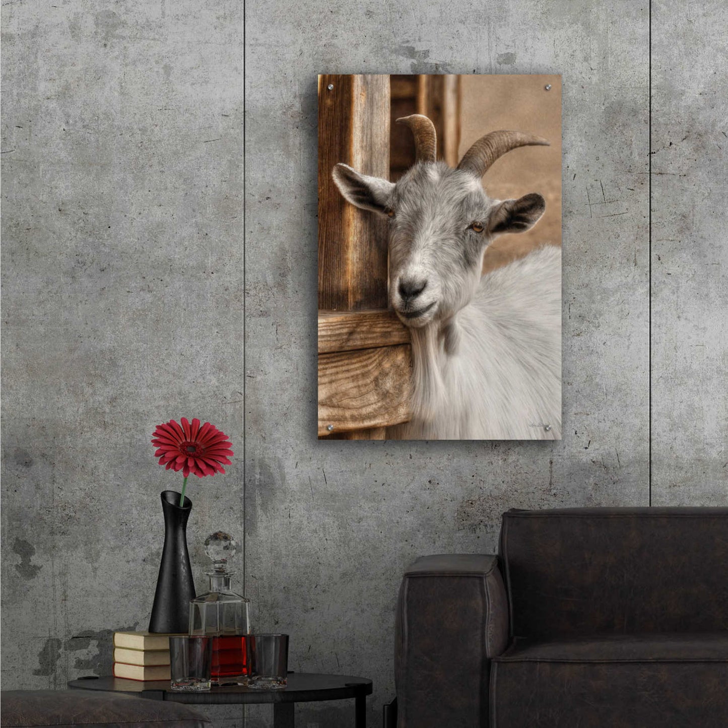 Epic Art 'Gray Goat' by Lori Deiter Acrylic Glass Wall Art,24x36