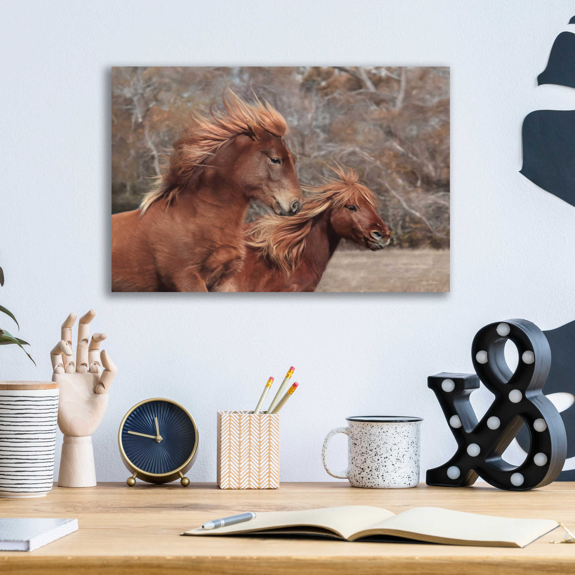 Epic Art 'Assateague Horses II' by Lori Deiter Acrylic Glass Wall Art,16x12