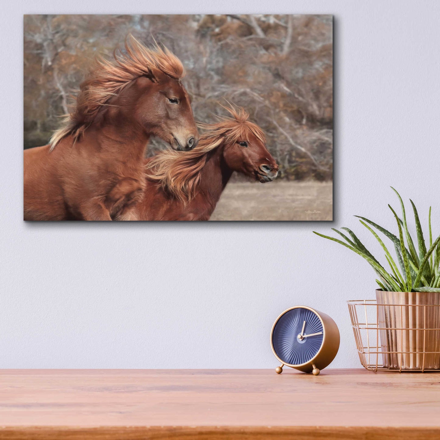 Epic Art 'Assateague Horses II' by Lori Deiter Acrylic Glass Wall Art,16x12