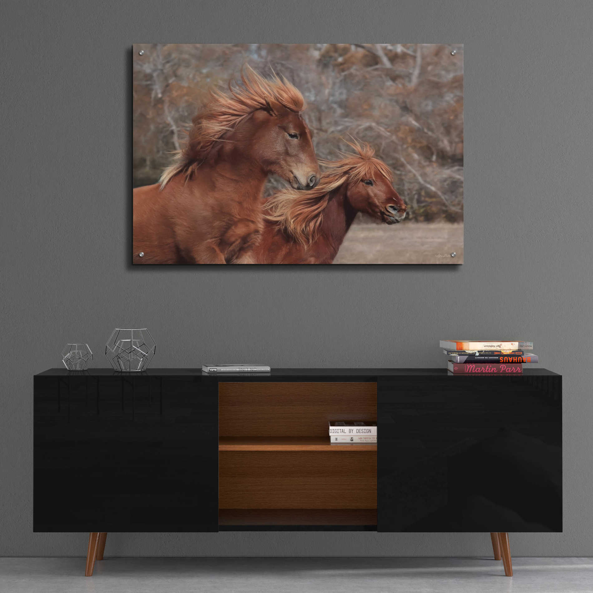 Epic Art 'Assateague Horses II' by Lori Deiter Acrylic Glass Wall Art,36x24