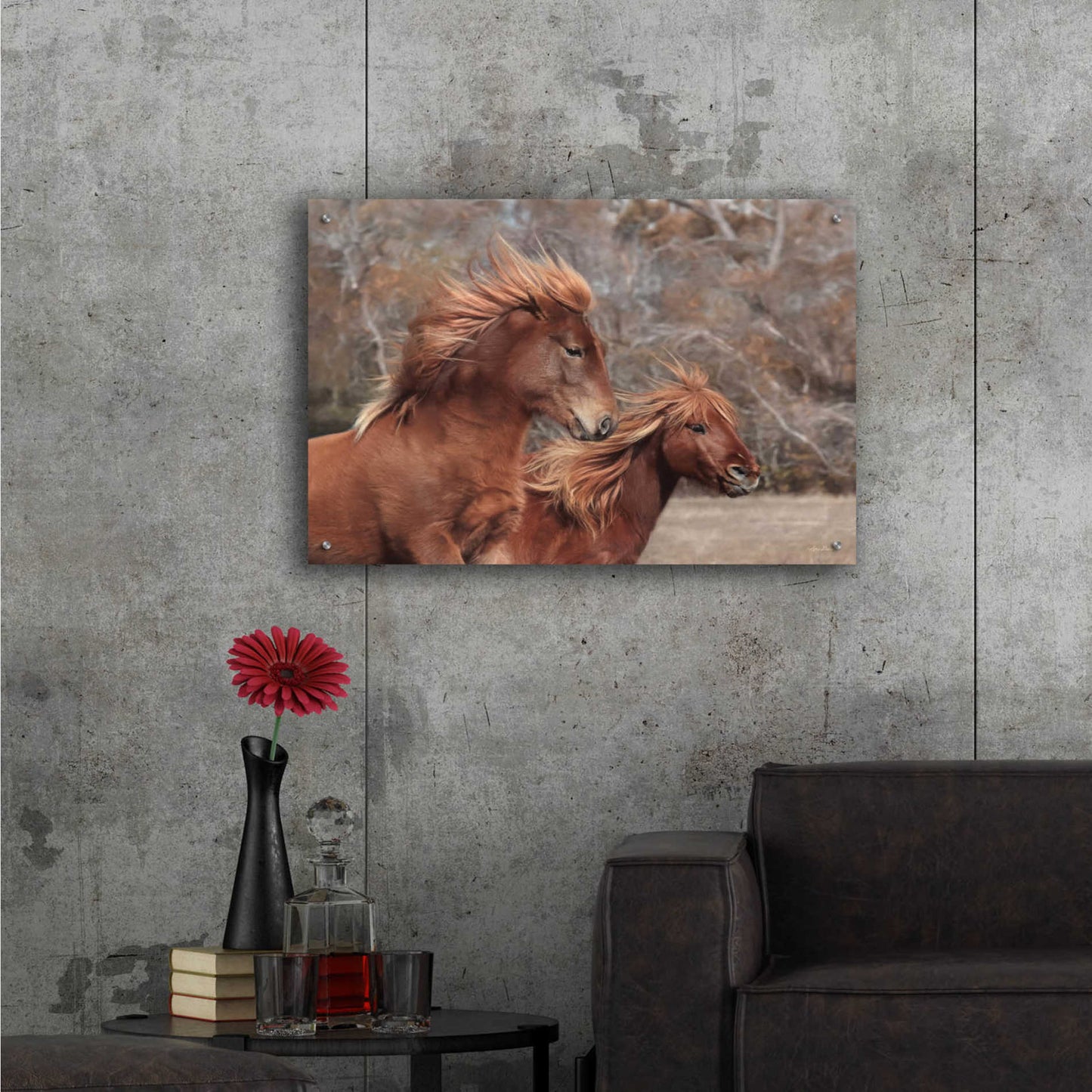 Epic Art 'Assateague Horses II' by Lori Deiter Acrylic Glass Wall Art,36x24