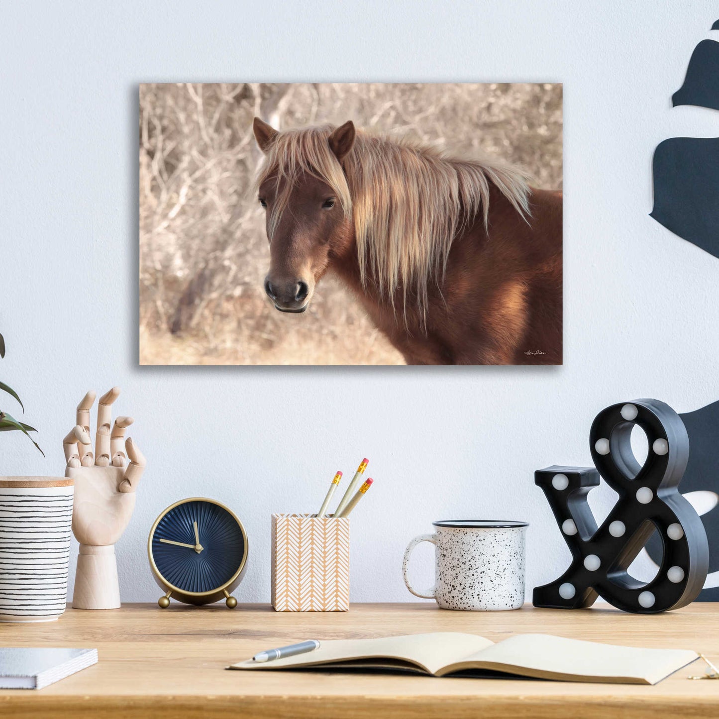 Epic Art 'Assateague Horse' by Lori Deiter Acrylic Glass Wall Art,16x12