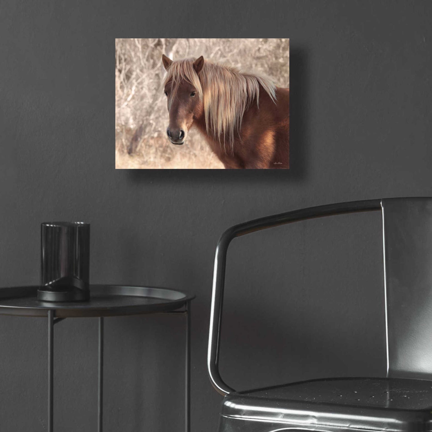 Epic Art 'Assateague Horse' by Lori Deiter Acrylic Glass Wall Art,16x12