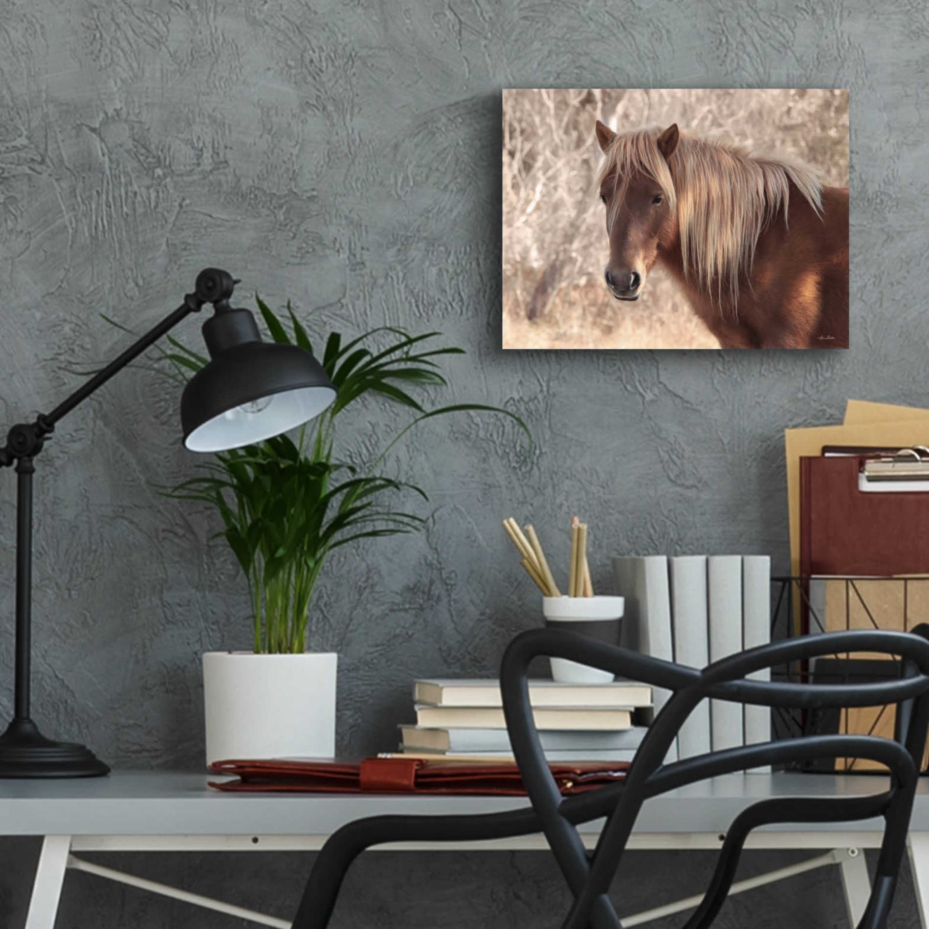 Epic Art 'Assateague Horse' by Lori Deiter Acrylic Glass Wall Art,16x12