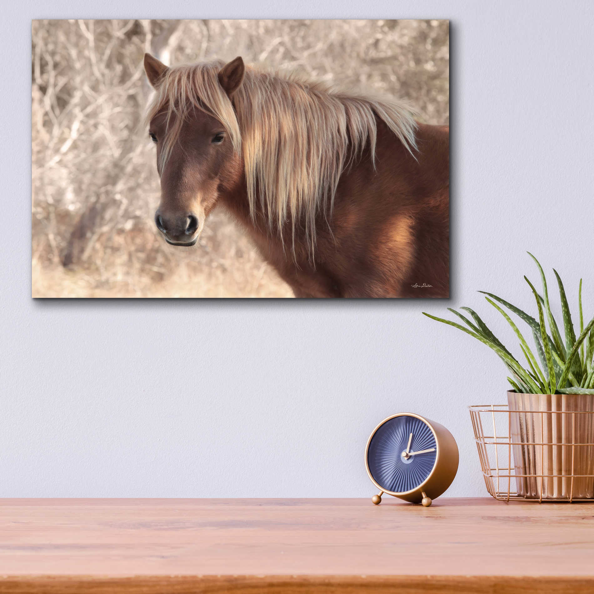 Epic Art 'Assateague Horse' by Lori Deiter Acrylic Glass Wall Art,16x12