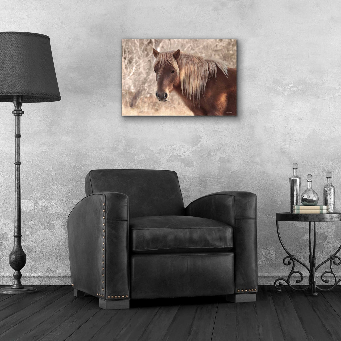 Epic Art 'Assateague Horse' by Lori Deiter Acrylic Glass Wall Art,24x16