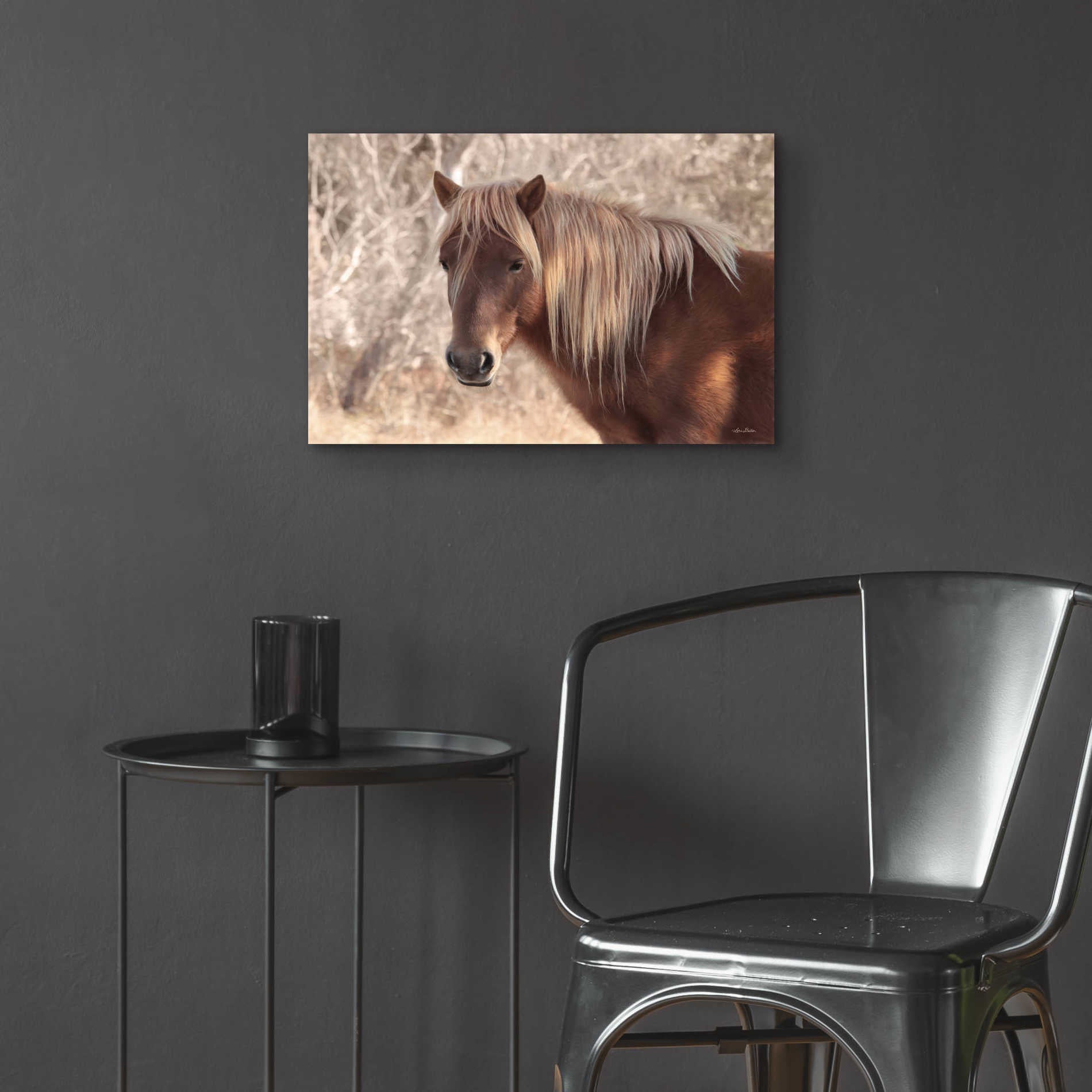 Epic Art 'Assateague Horse' by Lori Deiter Acrylic Glass Wall Art,24x16