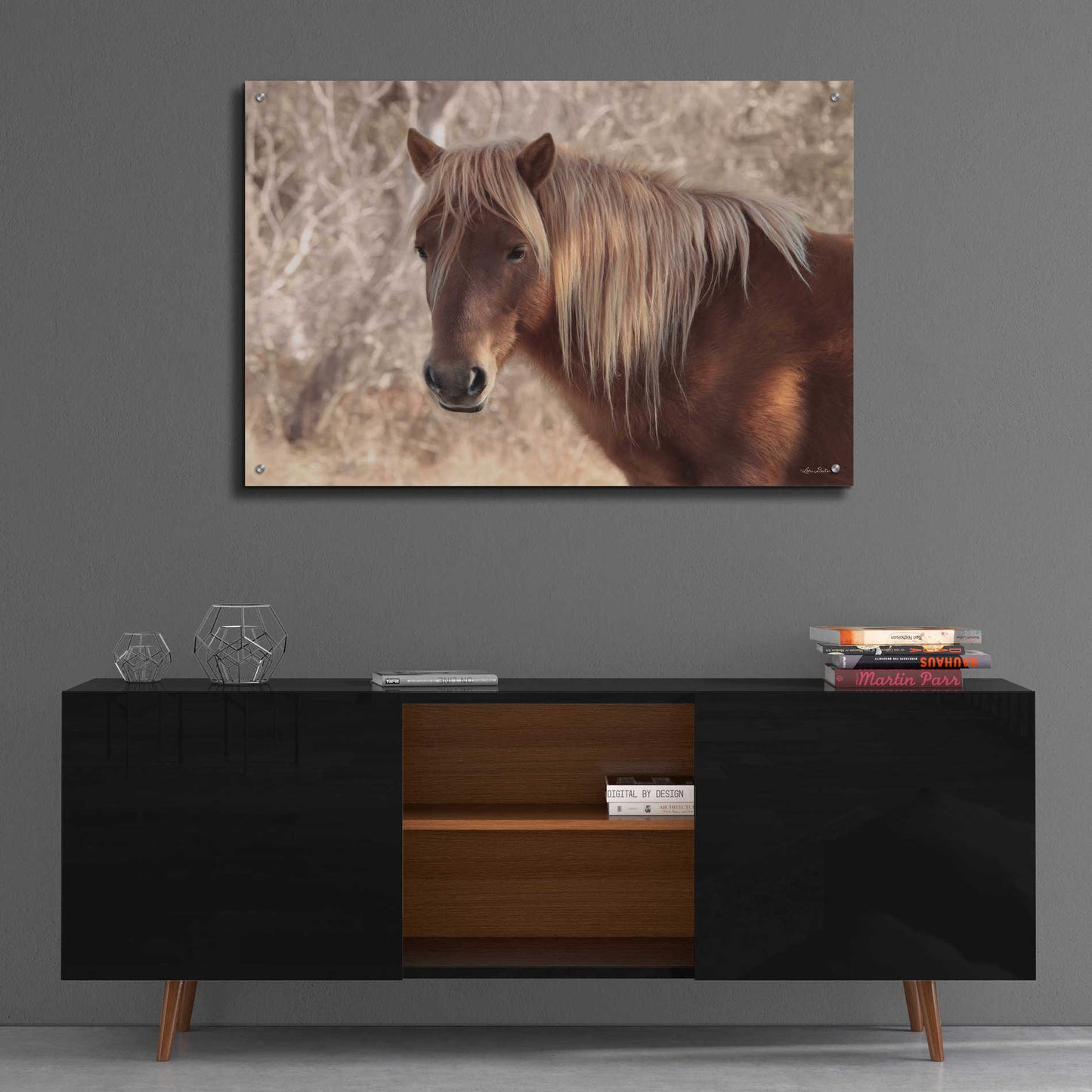 Epic Art 'Assateague Horse' by Lori Deiter Acrylic Glass Wall Art,36x24