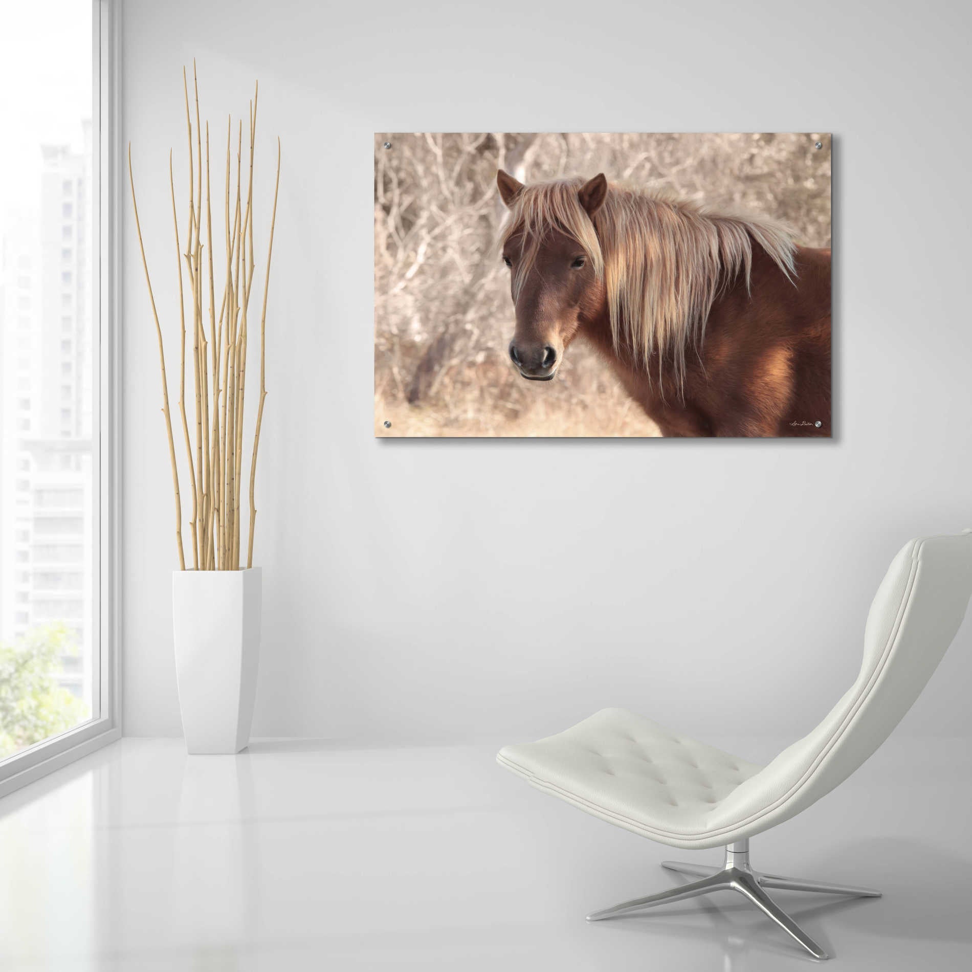 Epic Art 'Assateague Horse' by Lori Deiter Acrylic Glass Wall Art,36x24