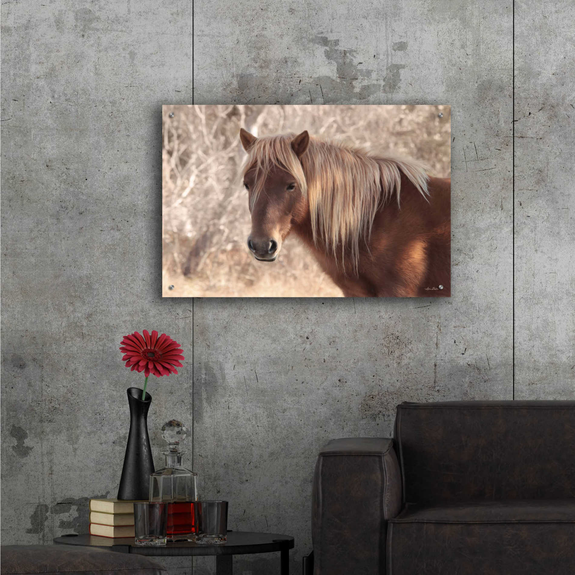 Epic Art 'Assateague Horse' by Lori Deiter Acrylic Glass Wall Art,36x24