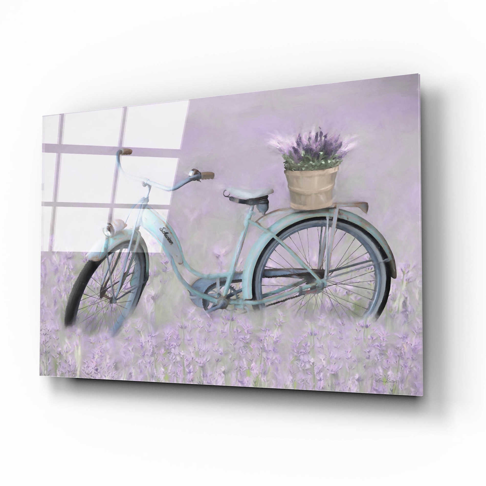 Epic Art 'Bicycle in Lavender' by Lori Deiter Acrylic Glass Wall Art,16x12